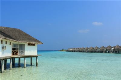 Ariadhoo - Wasserbungalow