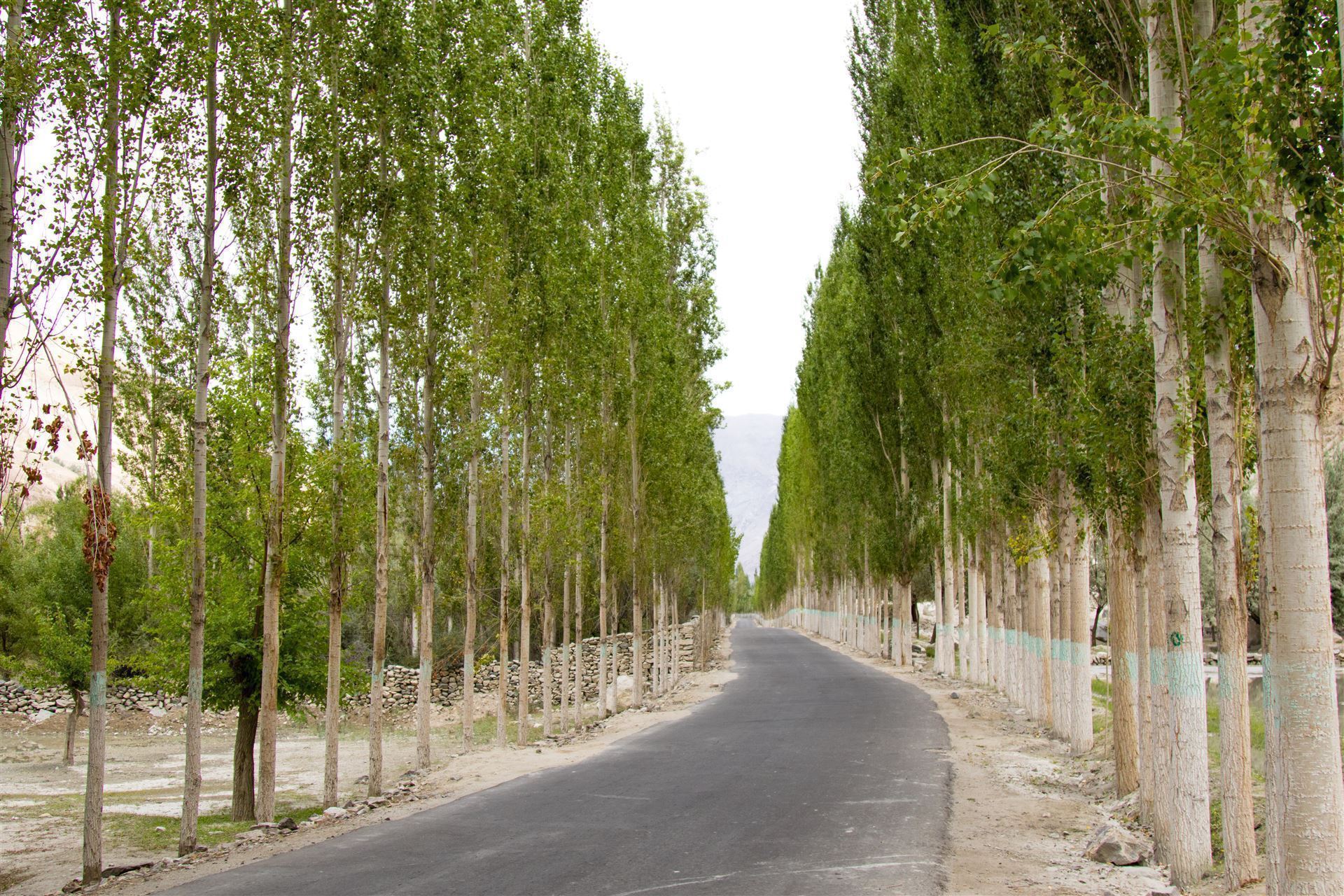 Straße nach Khaplu