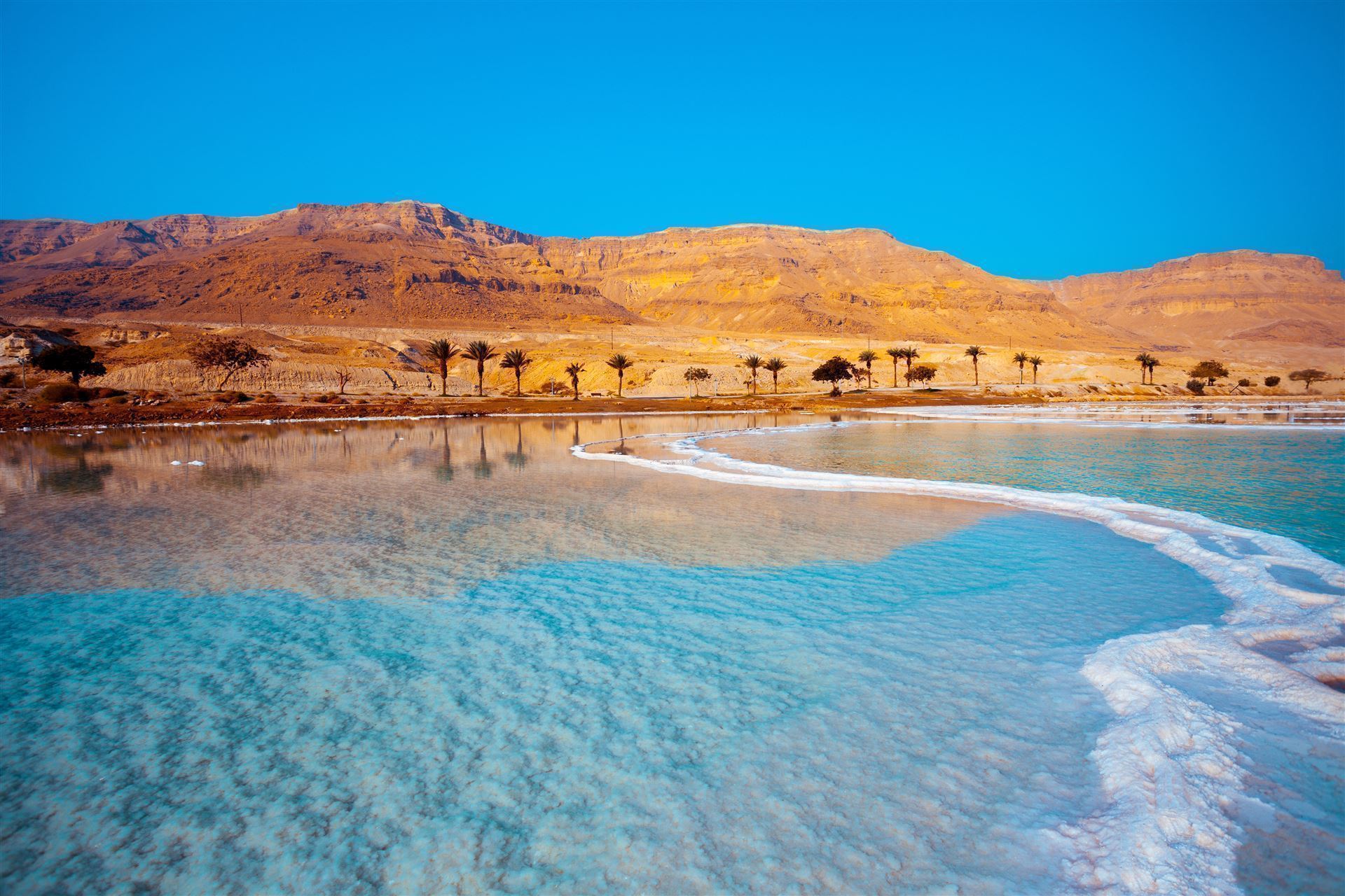 Totes Meer mit Palmen