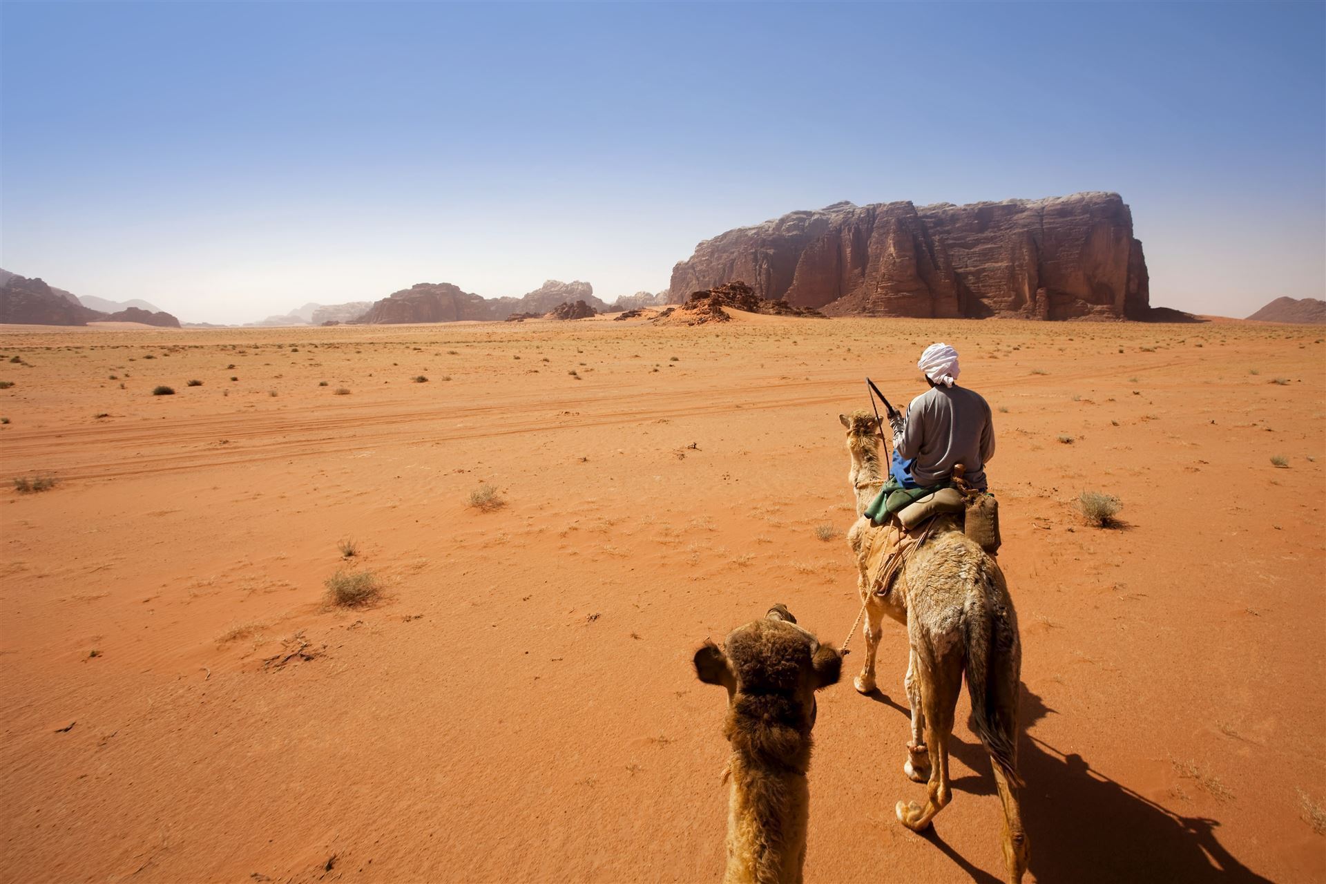 Jordanien Wadi Rum Kamelritt