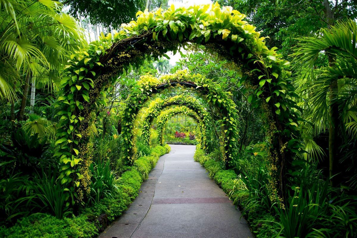 40+ Singapore Botanischer Garten, Situated just five minutes away
