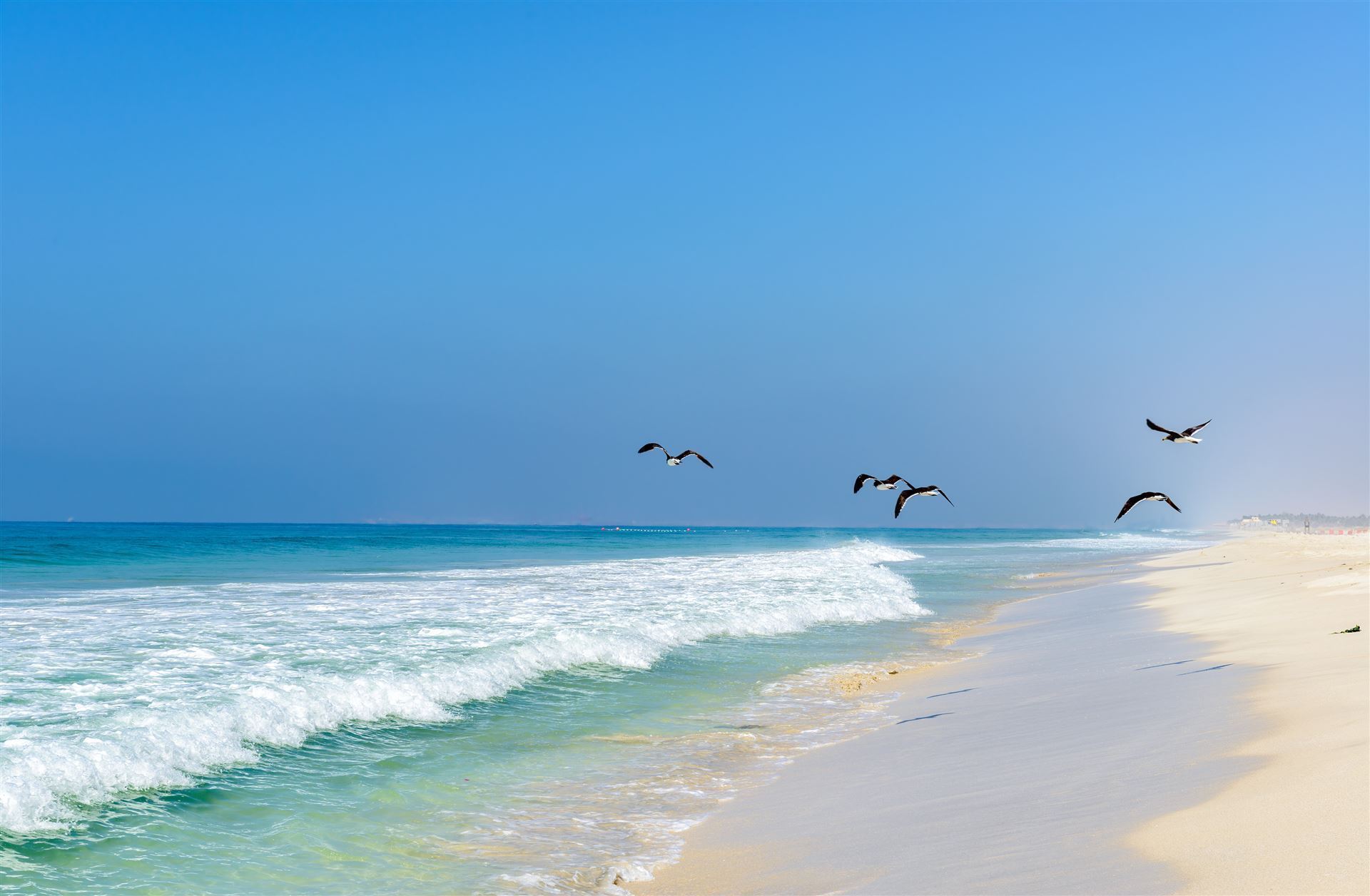 Beach in Salalah