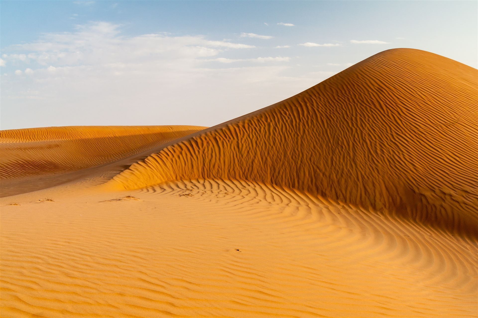 Wahiba Sand Düne