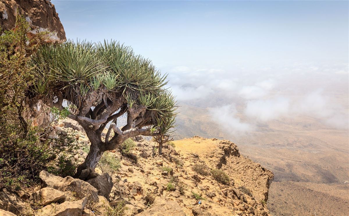 Rundreisen.de - Oman - Jebel Samhan