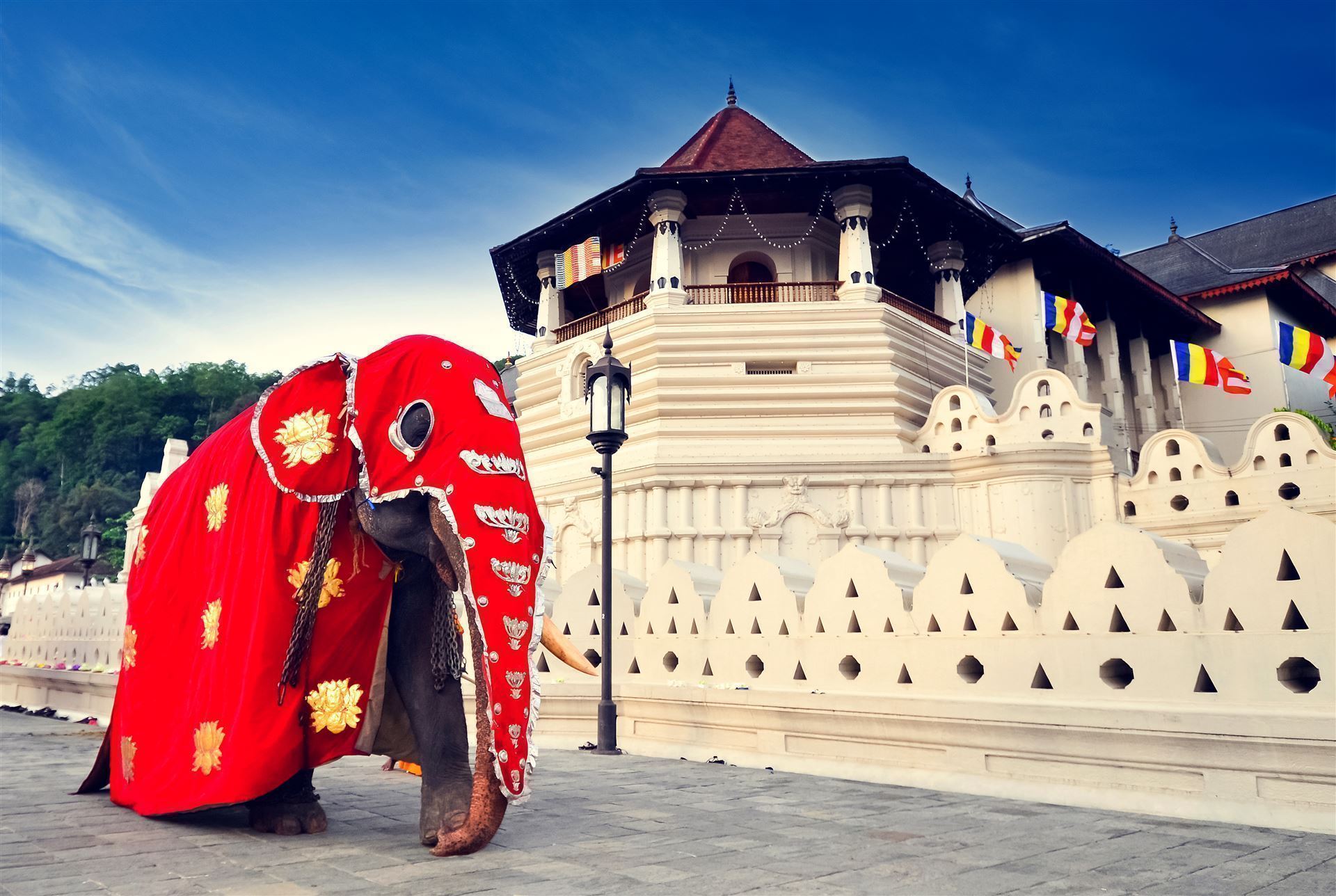 Kandy Zahntempel