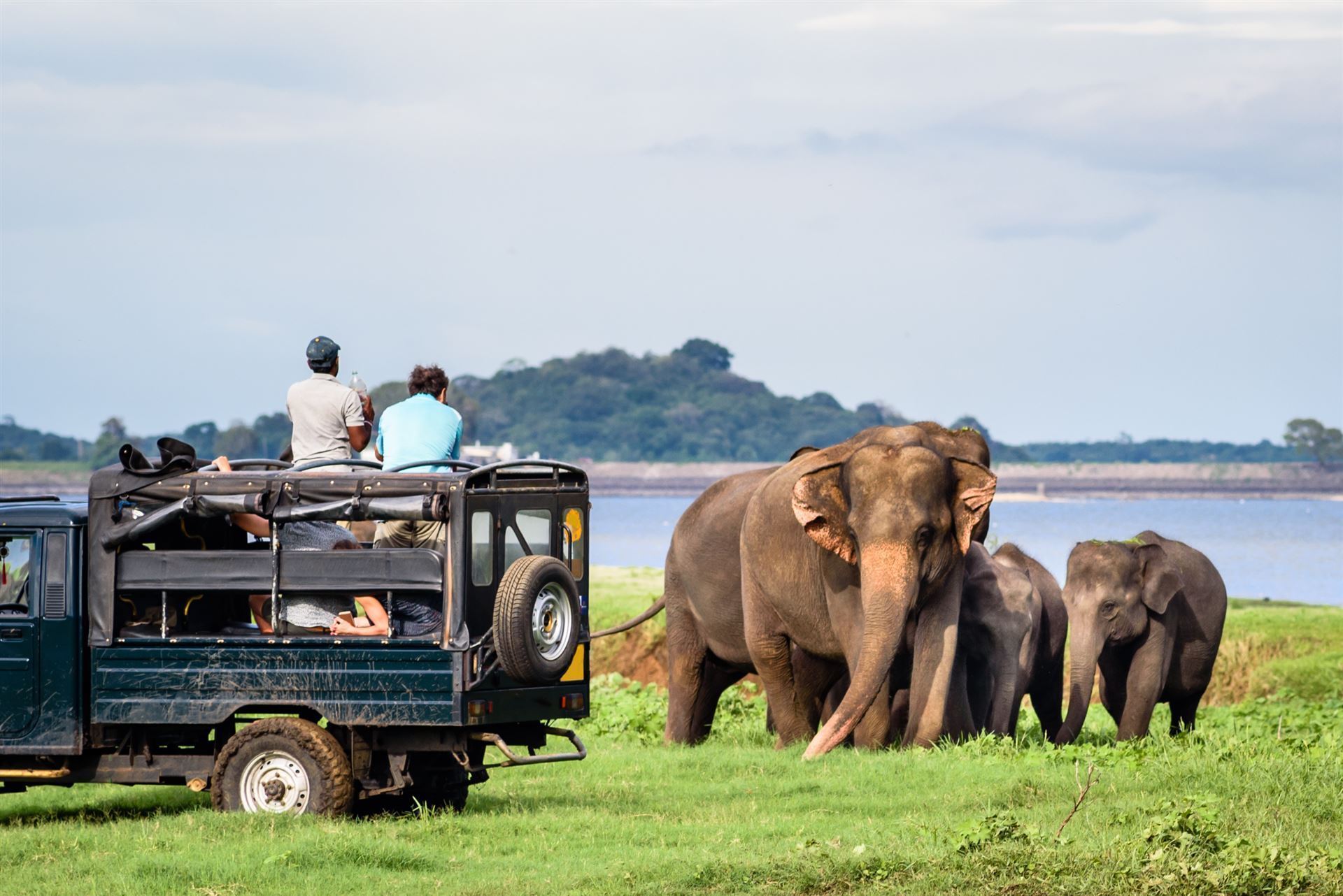 Safari im Minneriya Nationalpark