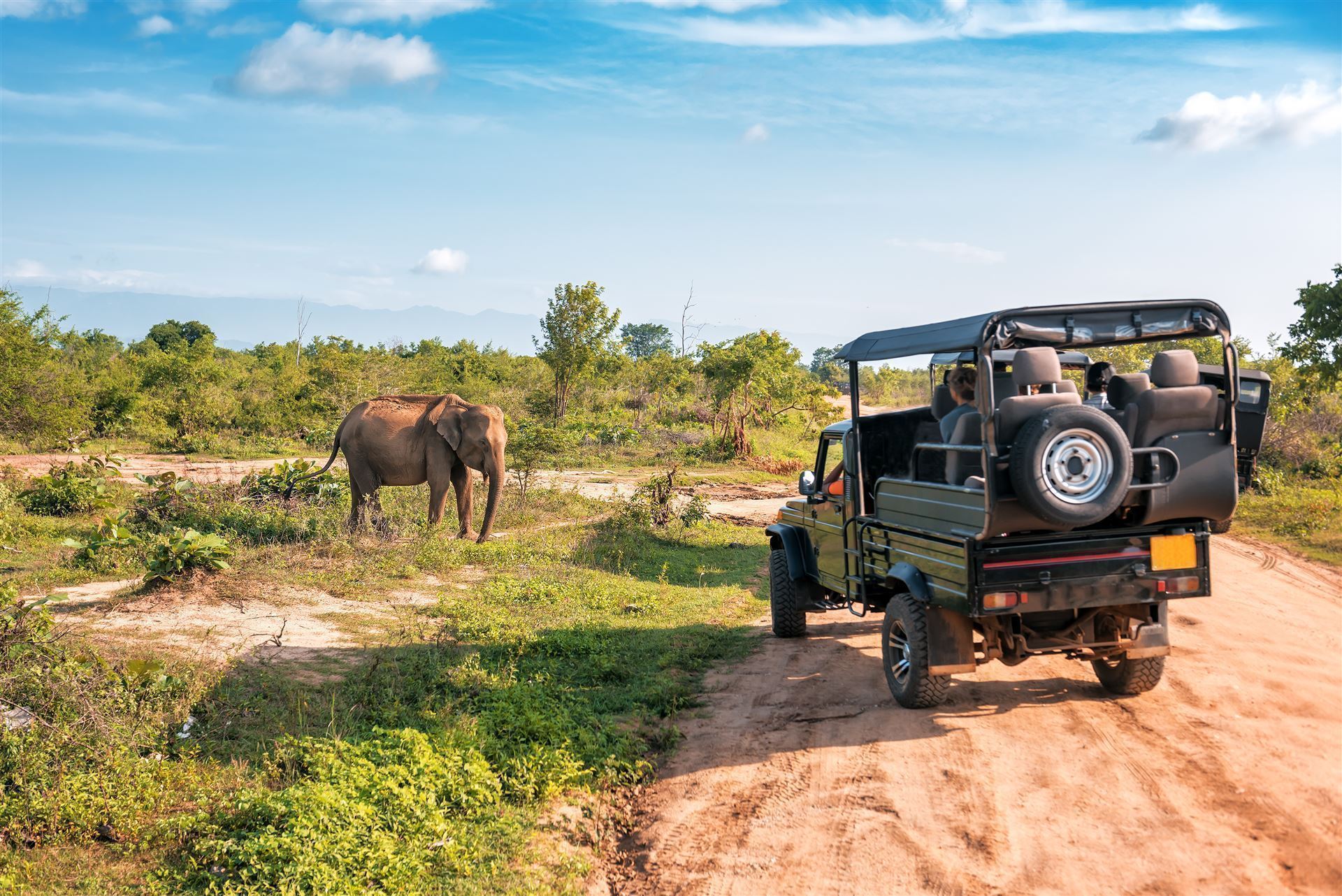 Safari im Udawalawe Nationalpark