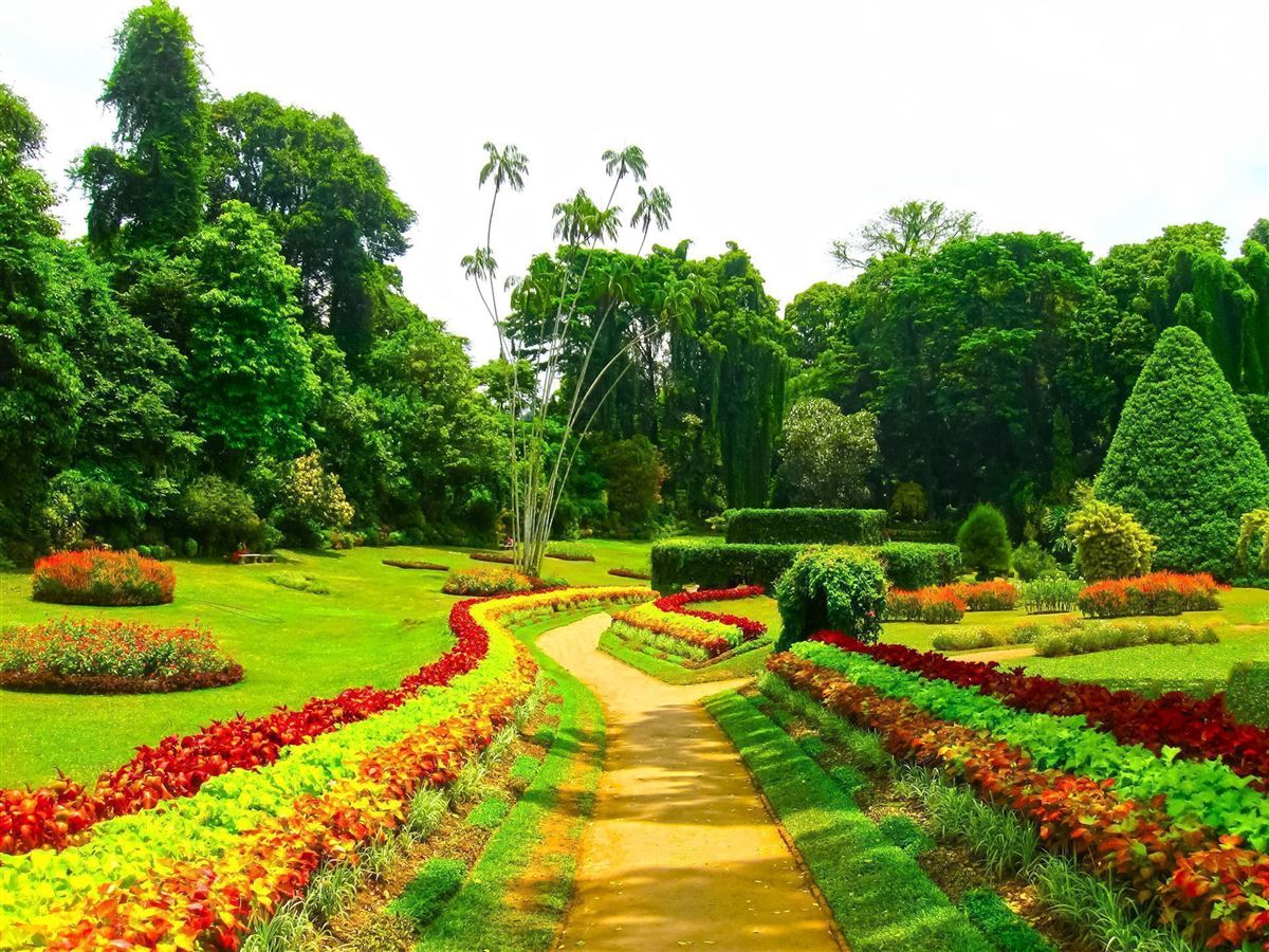 60+ Kandy Botanischer Garten, The focal points of the gardens are the
