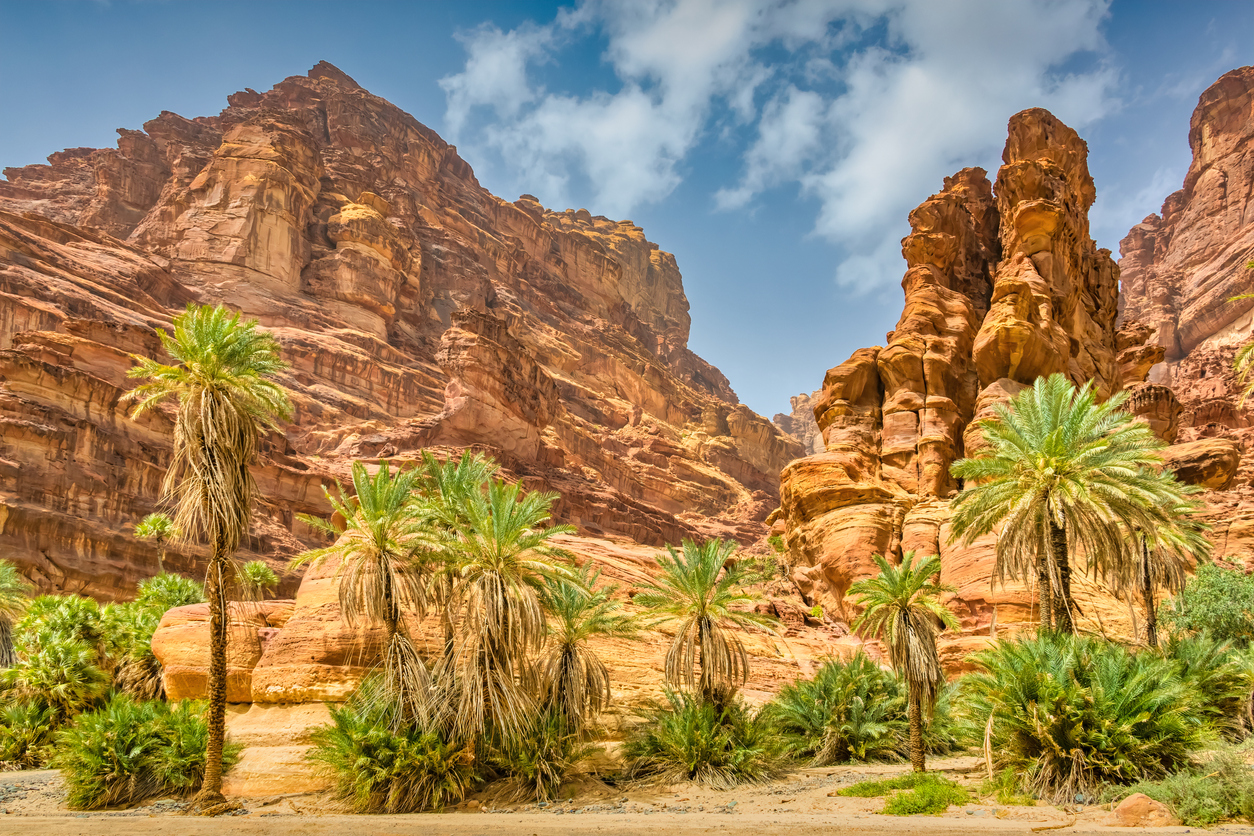 Wadi Al Disah