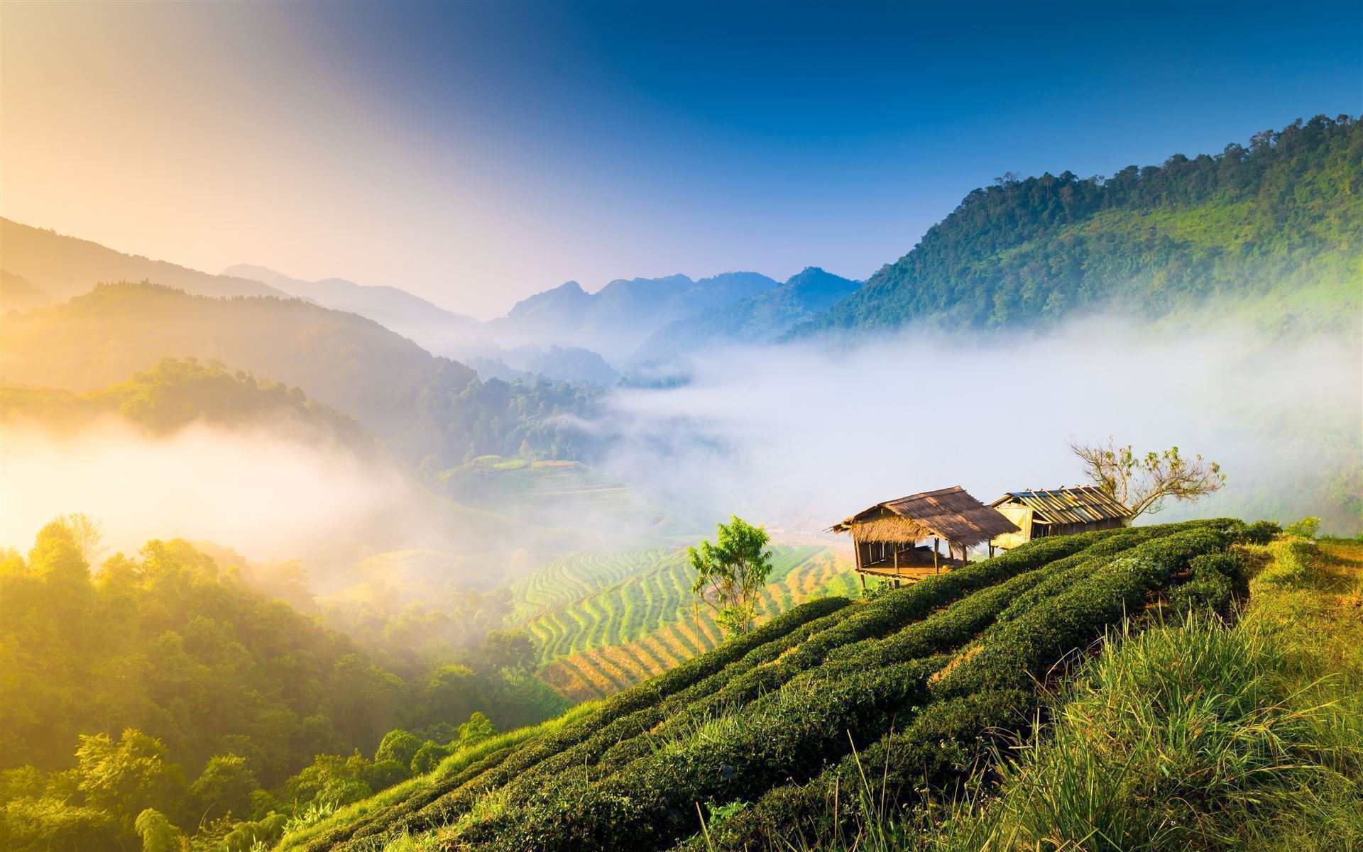Bergeregion Chiang Mai