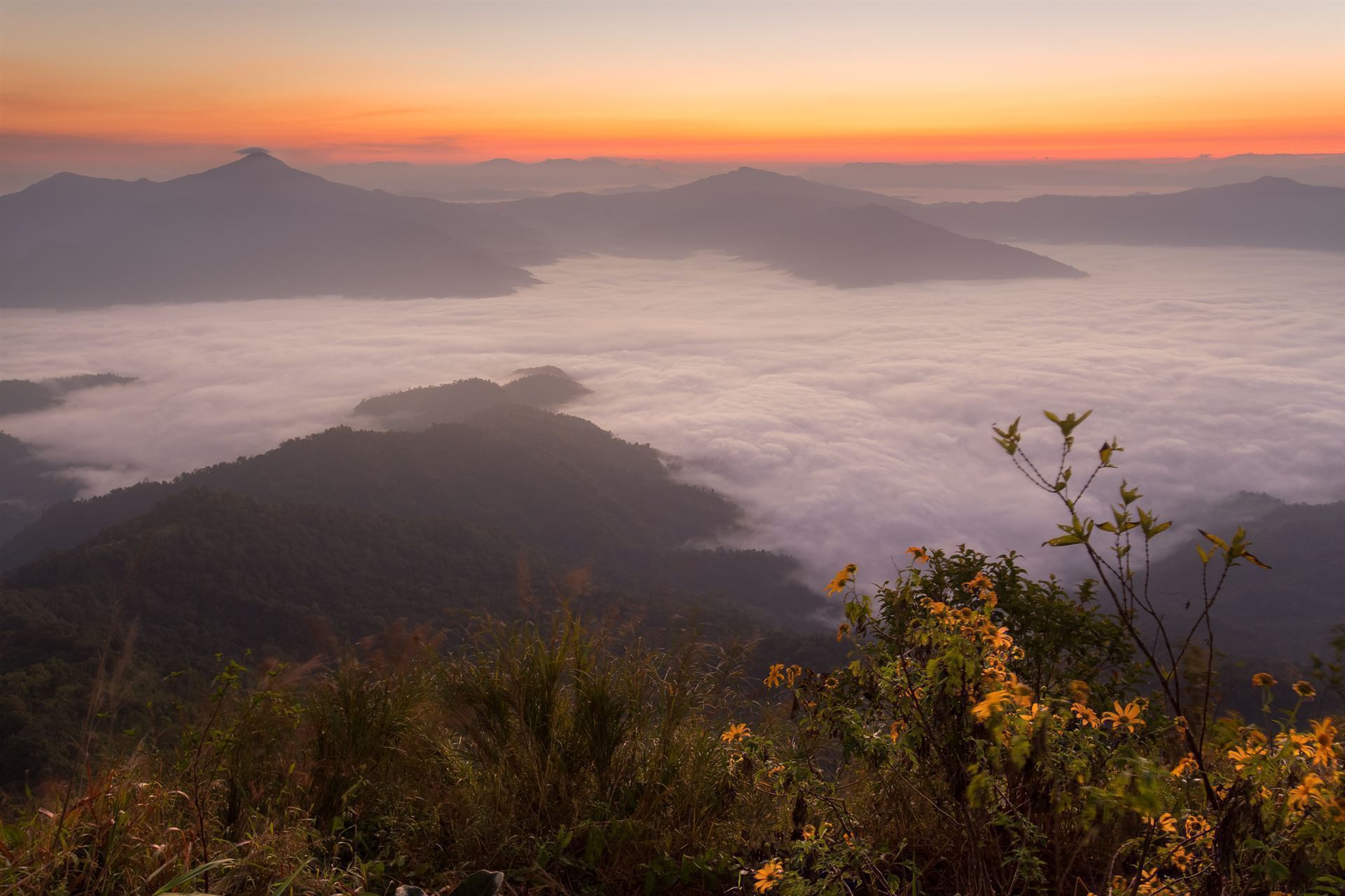 Goldes Dreieck Chiang Rai Doi Tung Sonnenaufgang