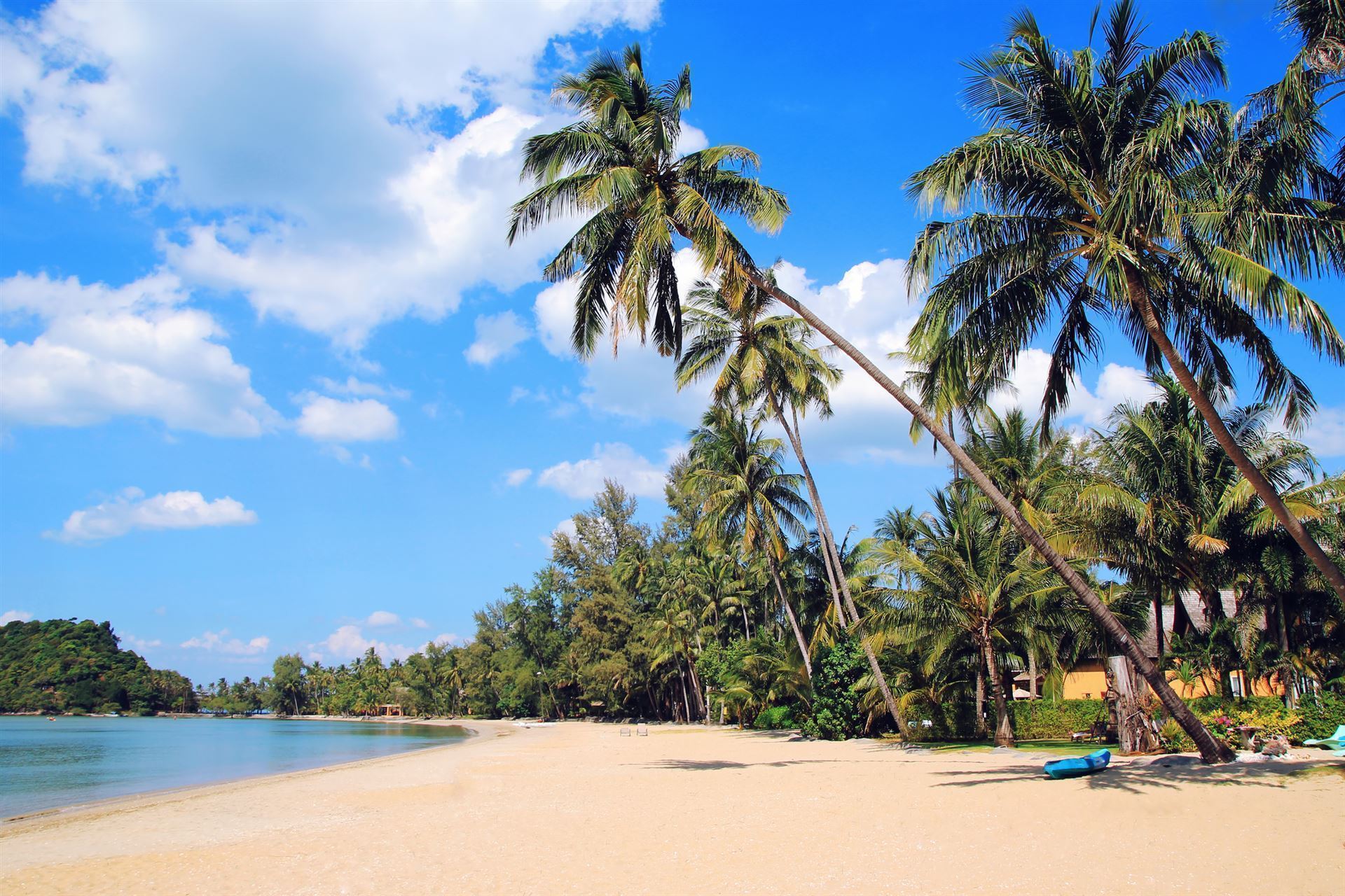 Strand mit Kokosnusspalmen