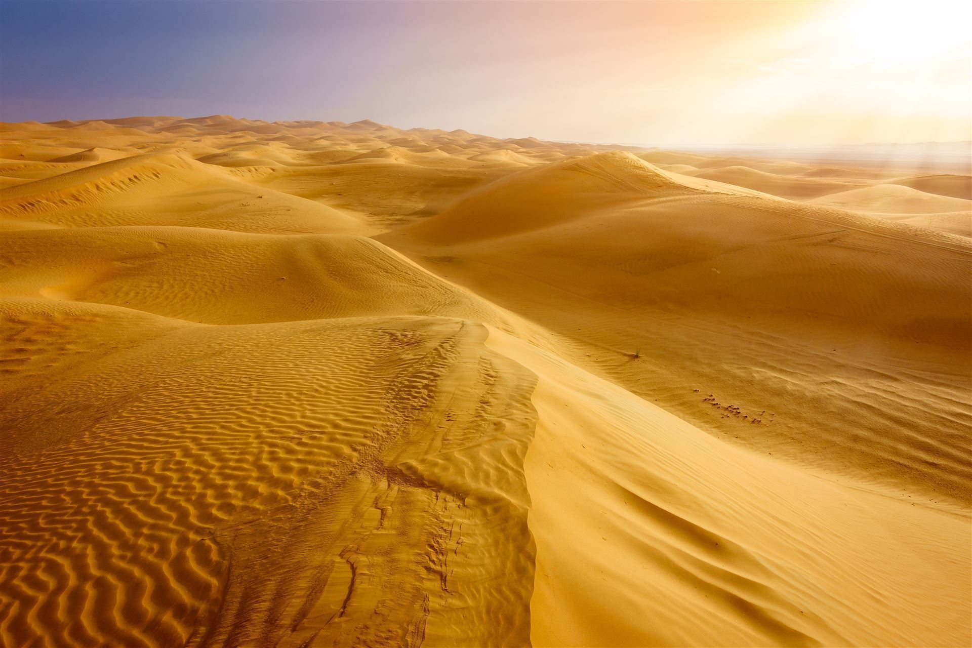 Wüste in der Nähe von Al Ain