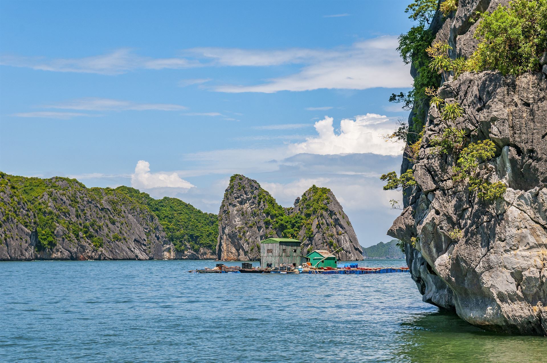Cat Ba Nationalpark