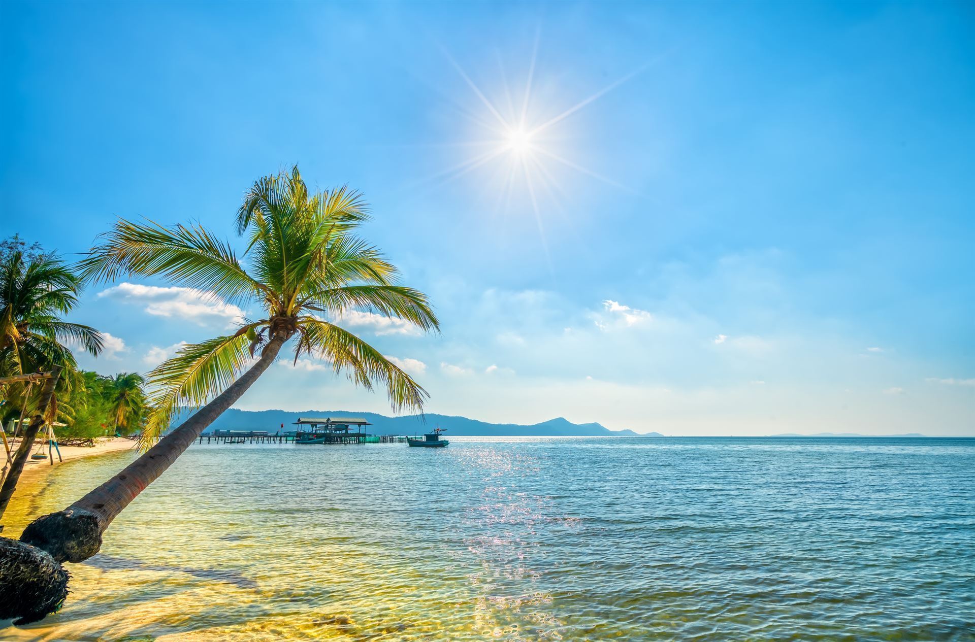 Palme am Strand