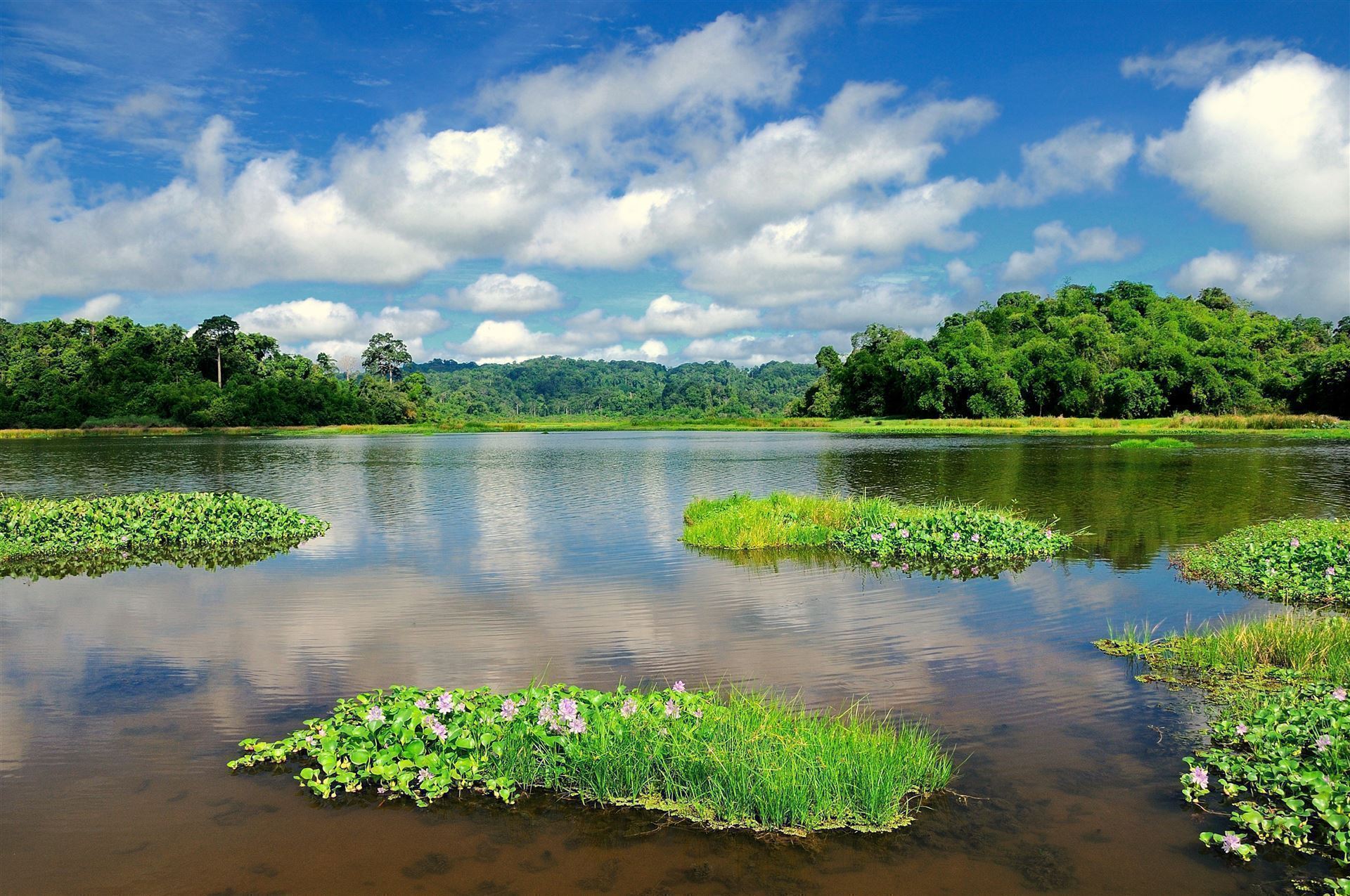 Nam Cat Tien Nationalpark