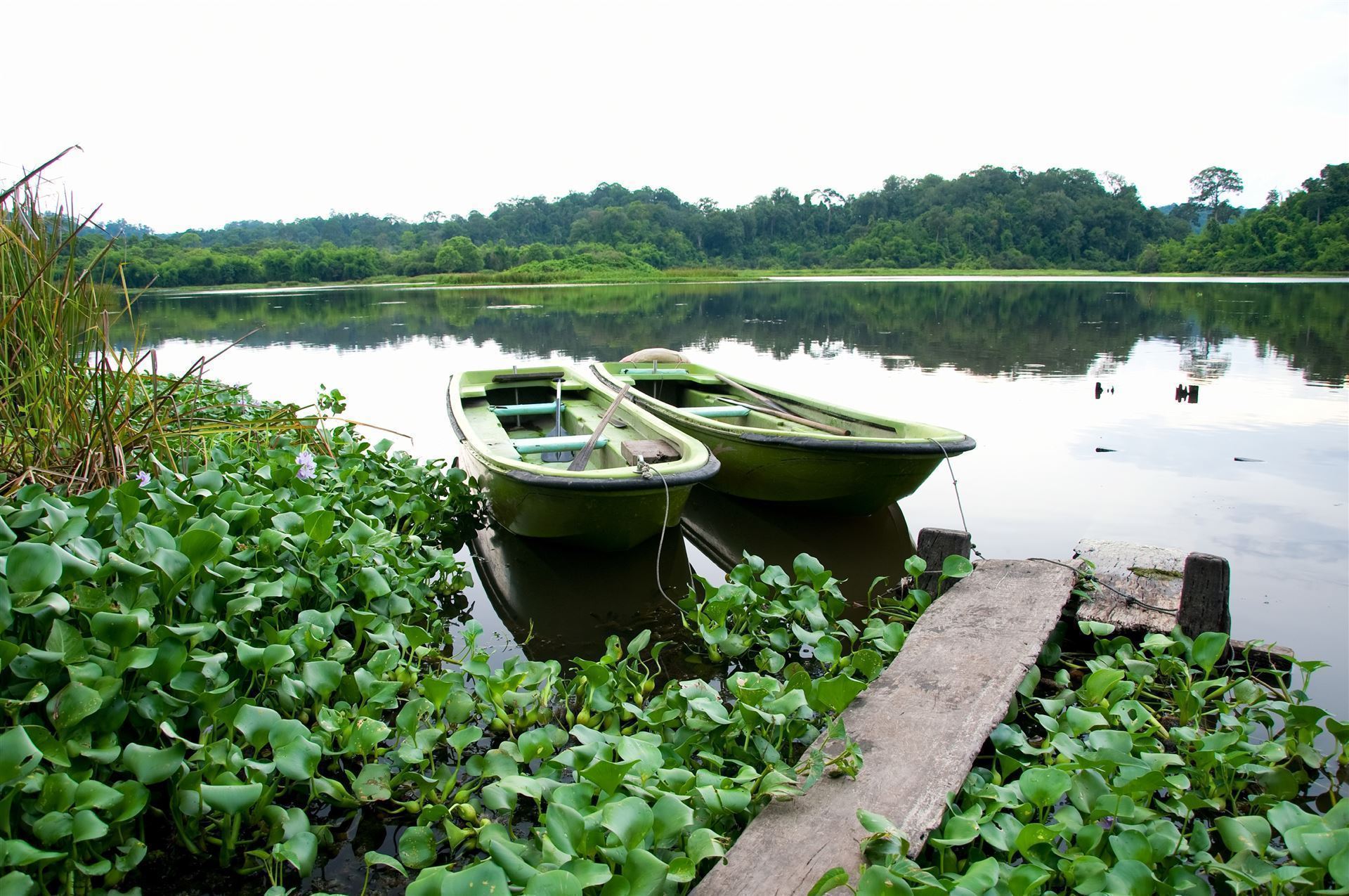 Krokodilsee