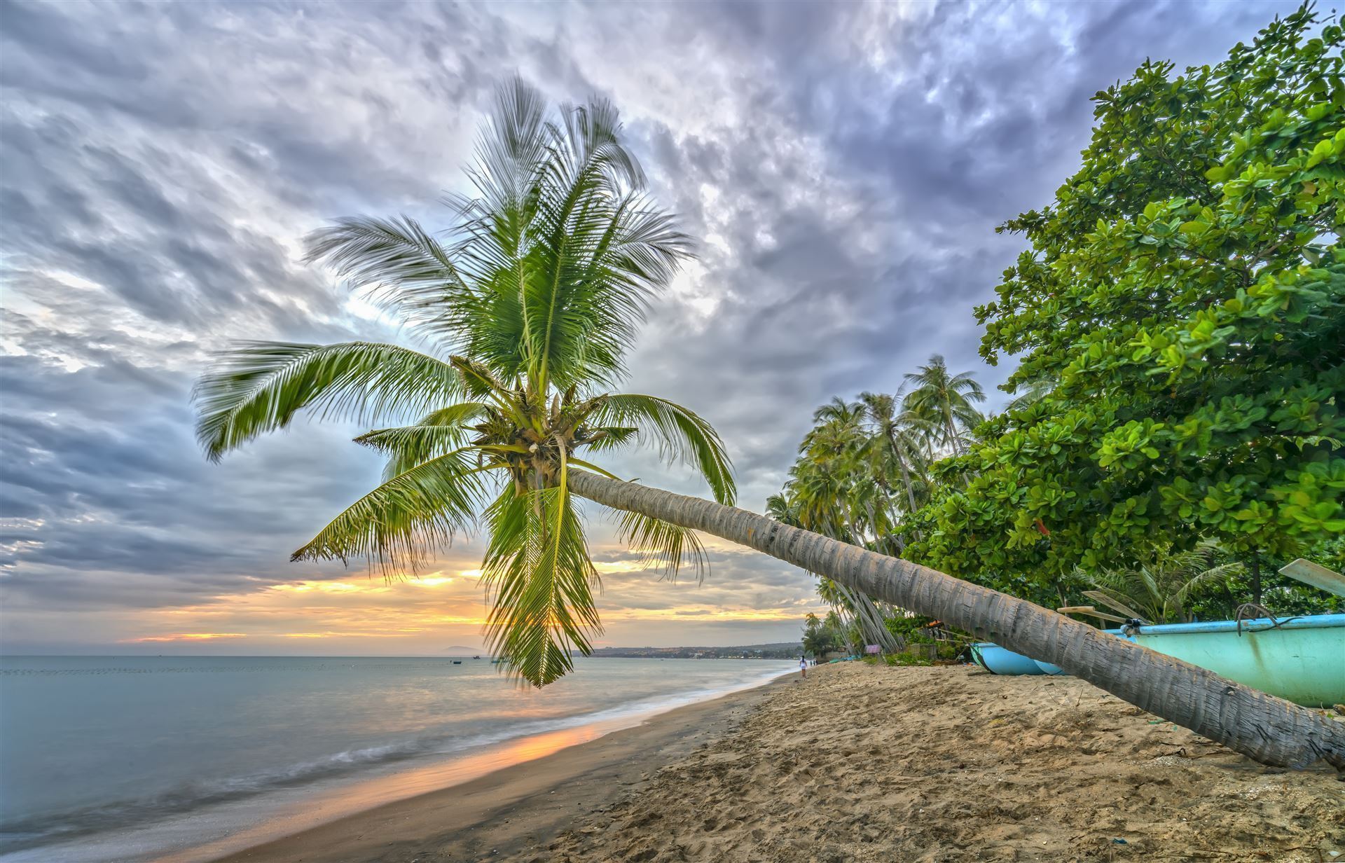 Palme am Strand