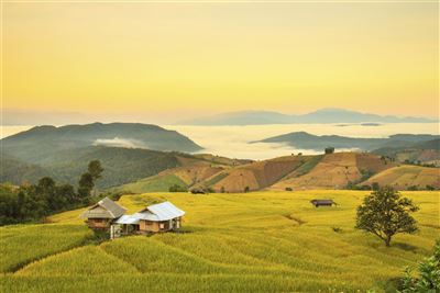 {image.media_title -> f:transform.html())} {image.copyright -> f:transform.html())}