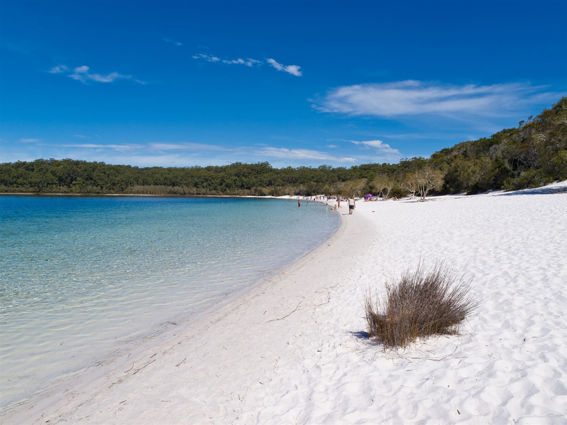 Fraser Island Lake McKenzie