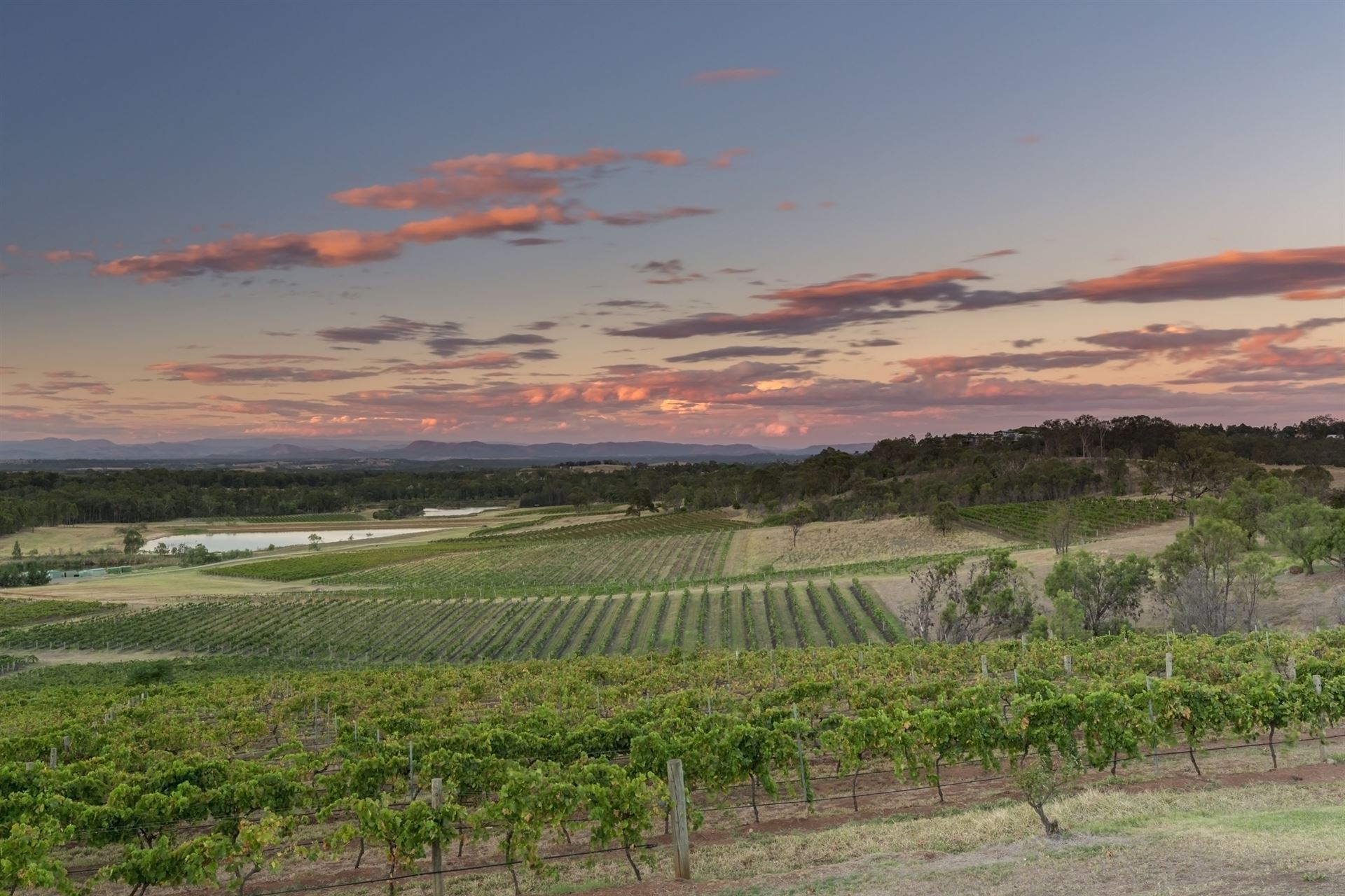 Sonnenuntergang im Hunter Valley