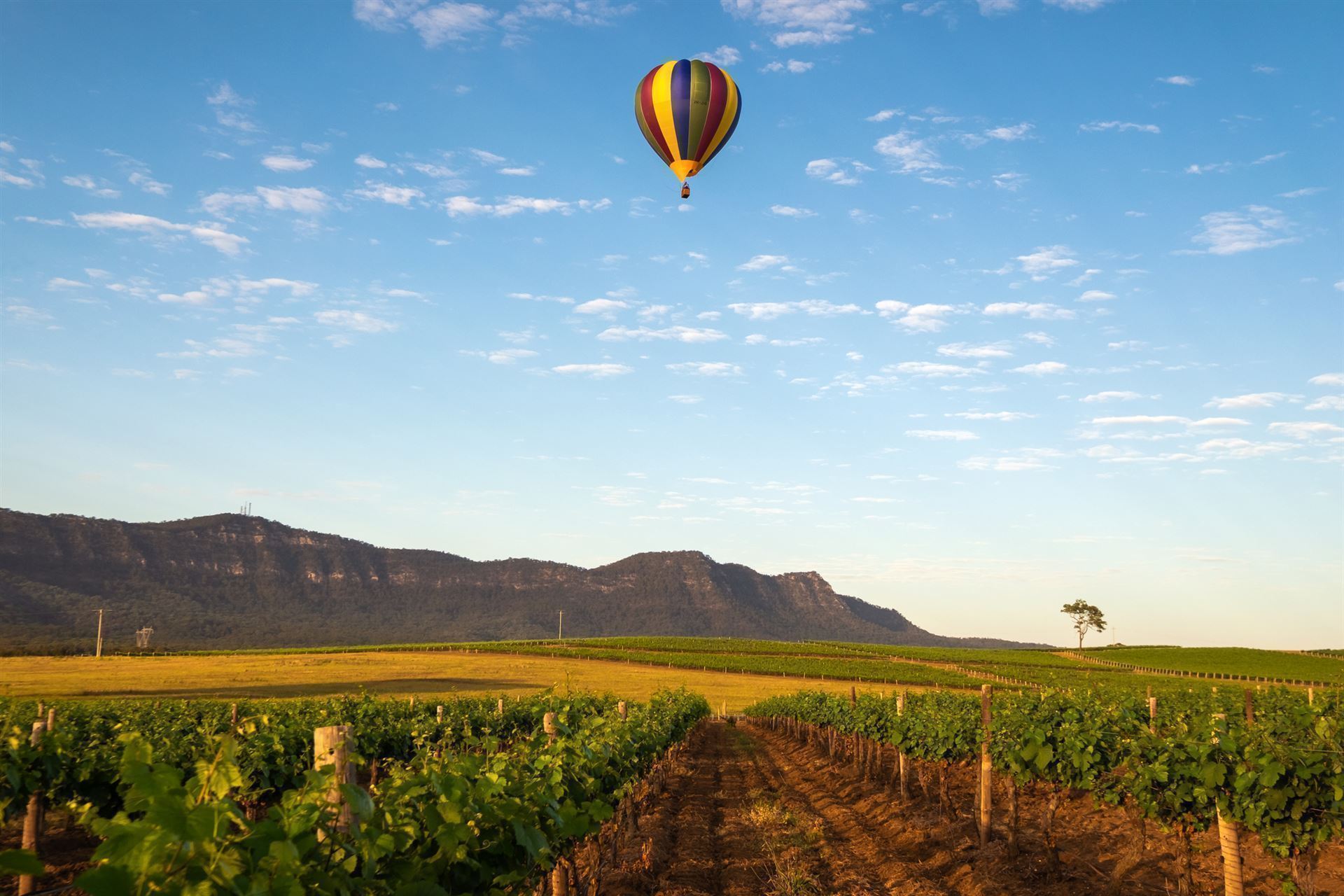 Heißluftballon über dem Hunter Valley