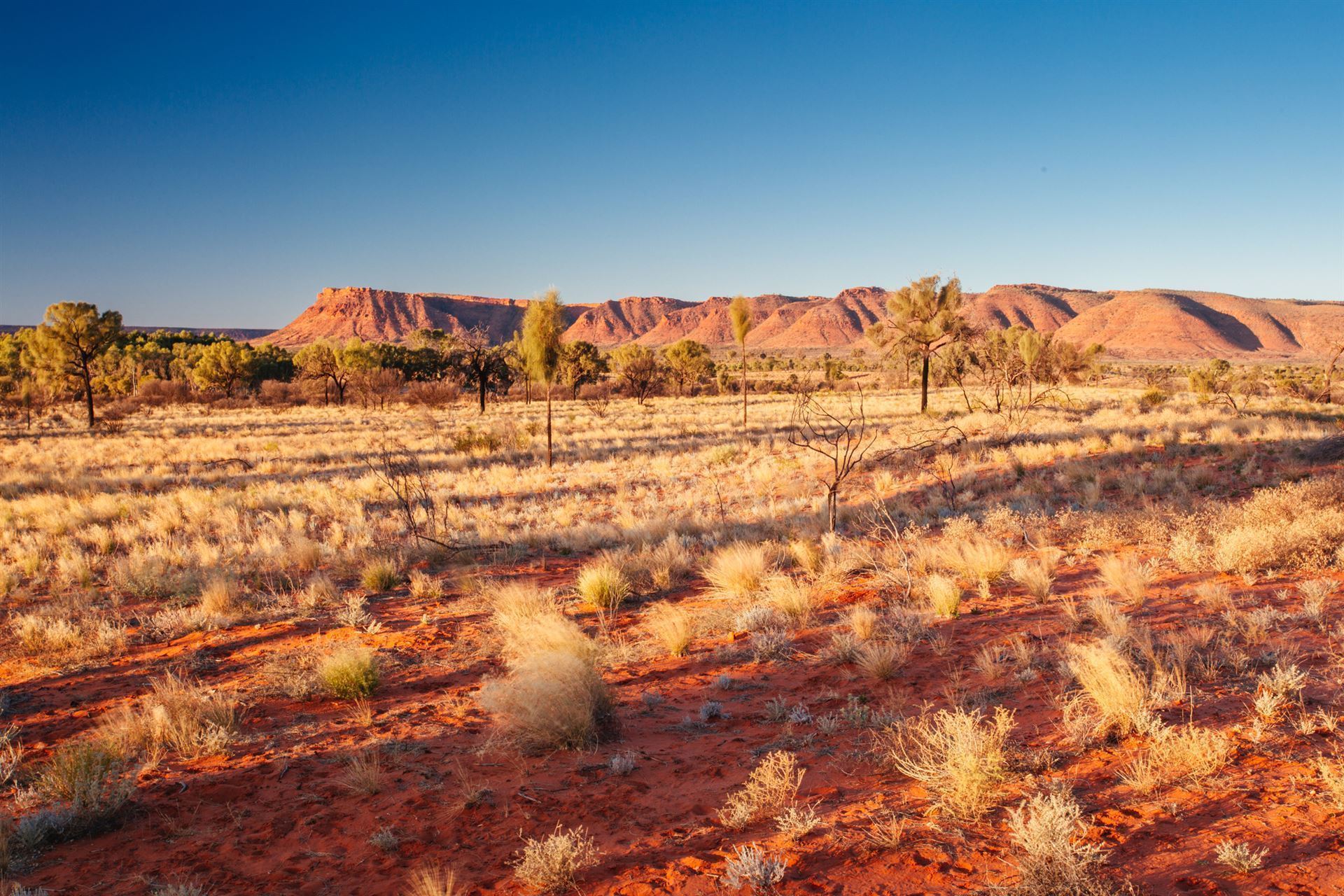 Kings Canyon