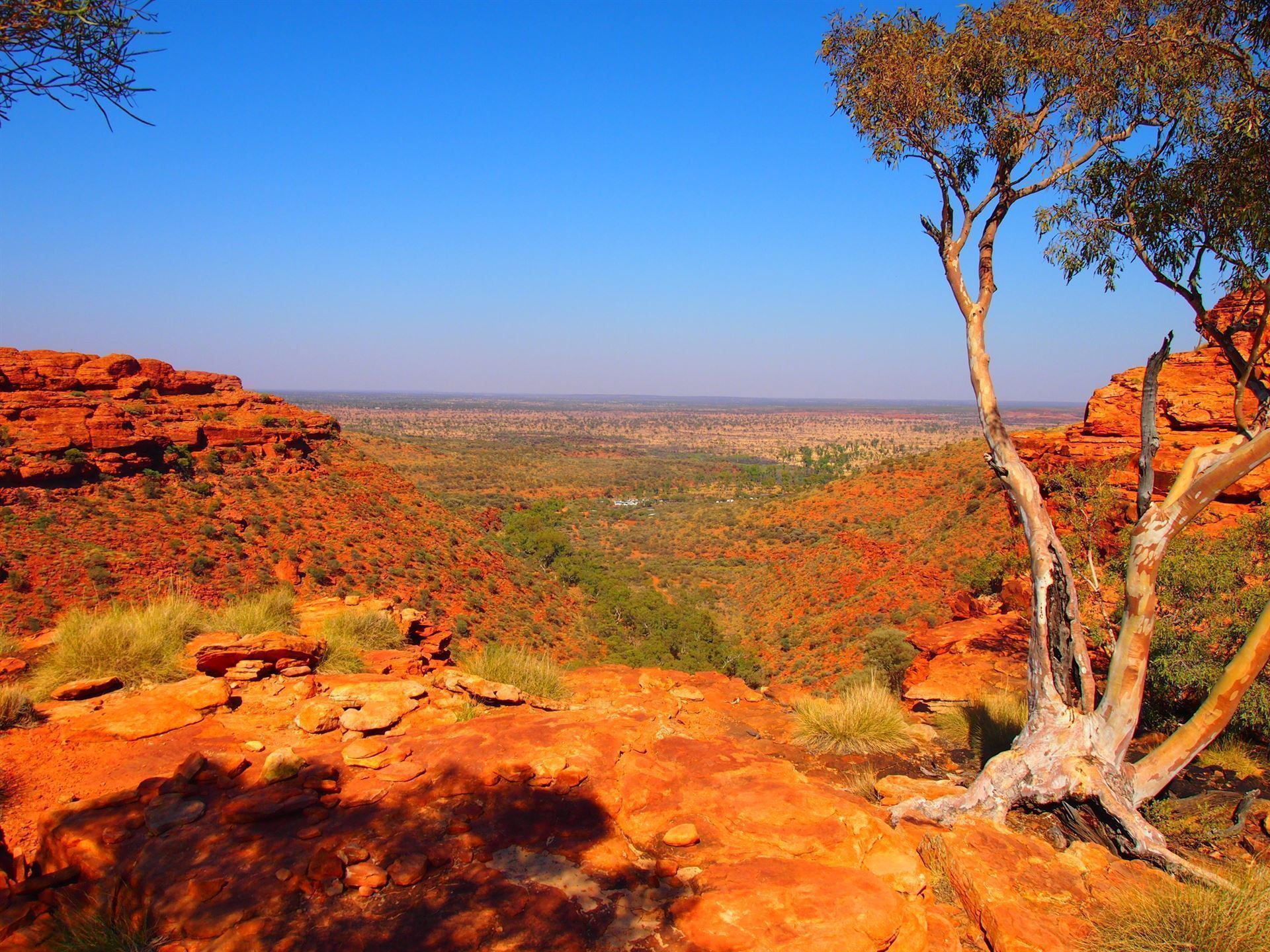 Kings Canyon