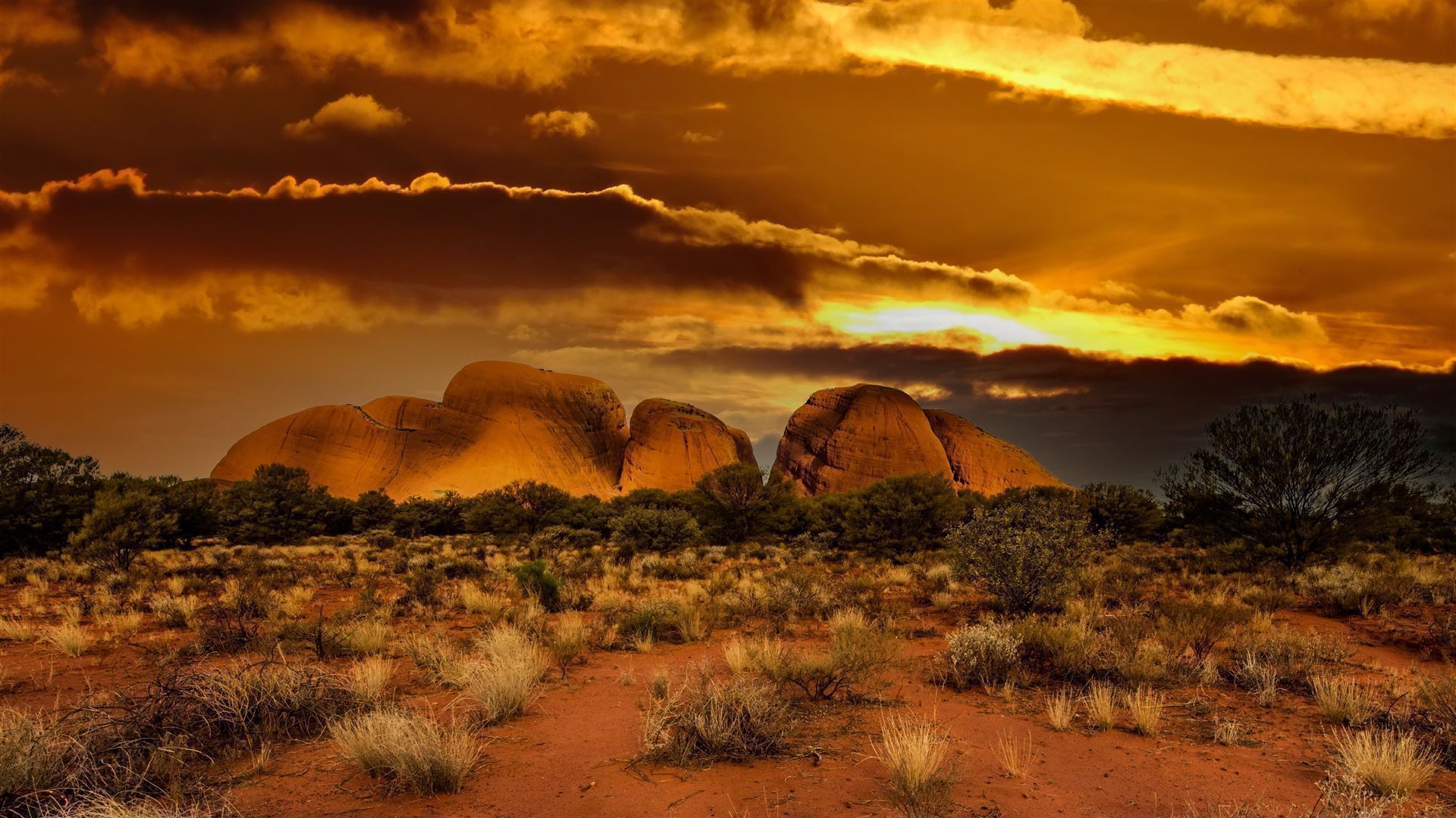 Blick auf The Olgas im Kata Tjuta Nationalpark