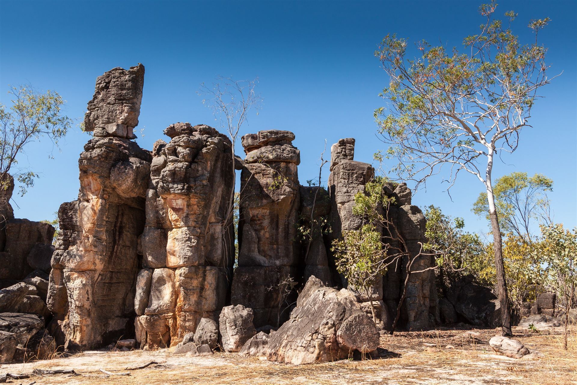 Litchfield Nationalpark