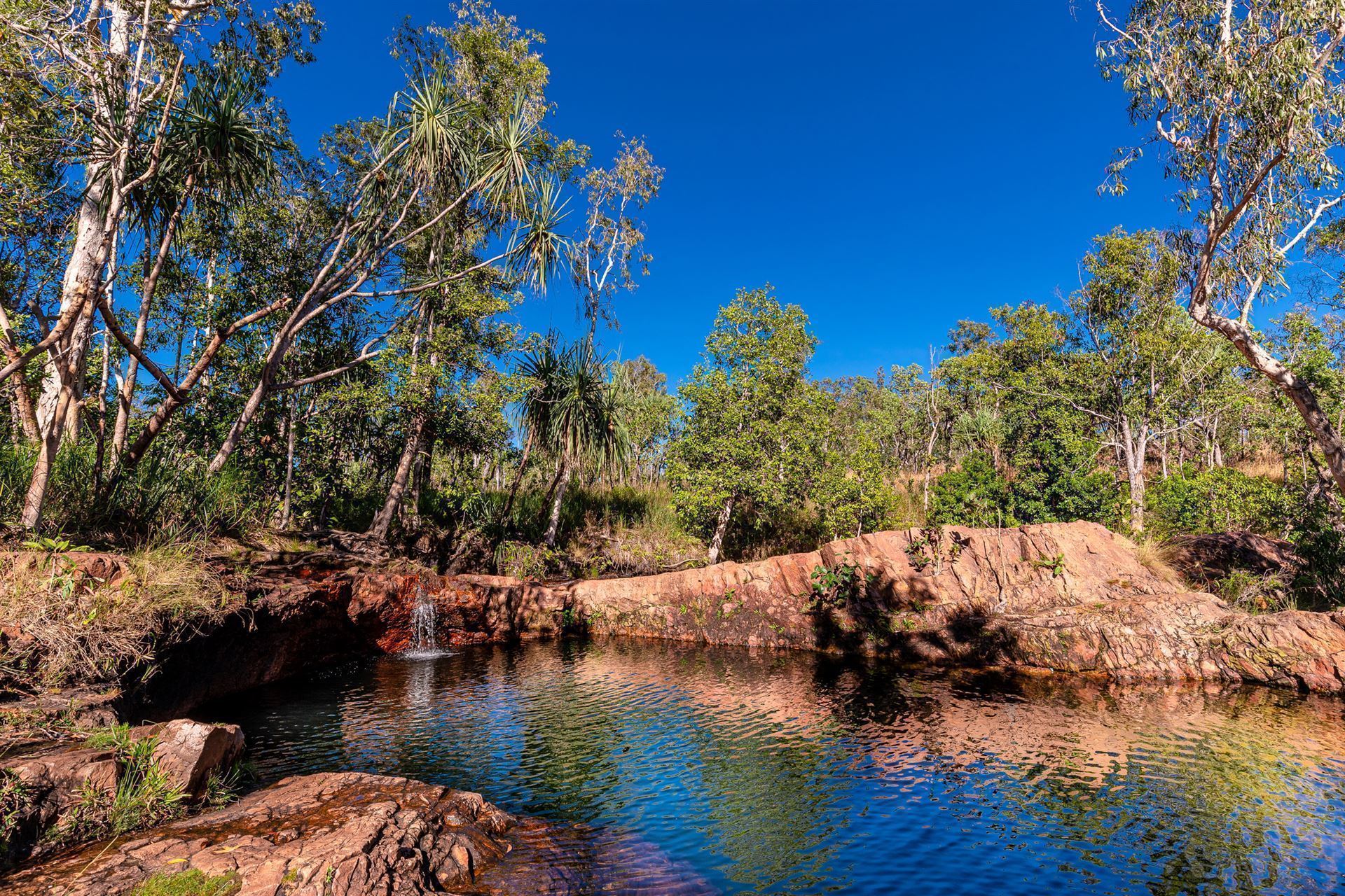Litchfield Nationalpark