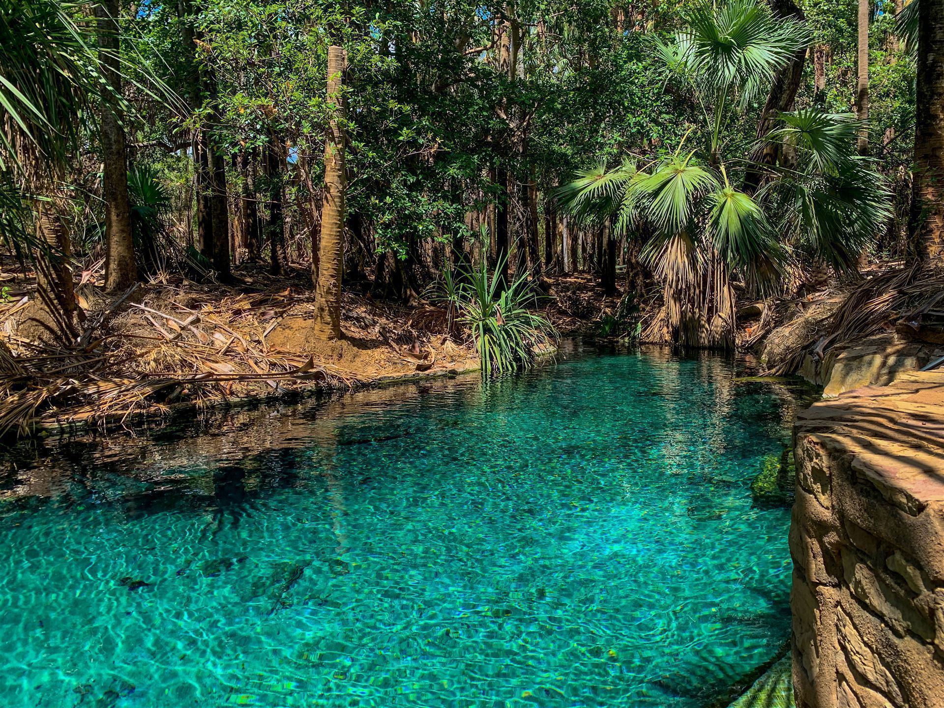 Thermalpool Mataranka
