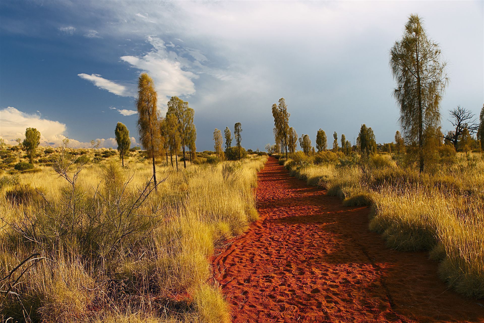 Uluru Landschaft mit Weg
