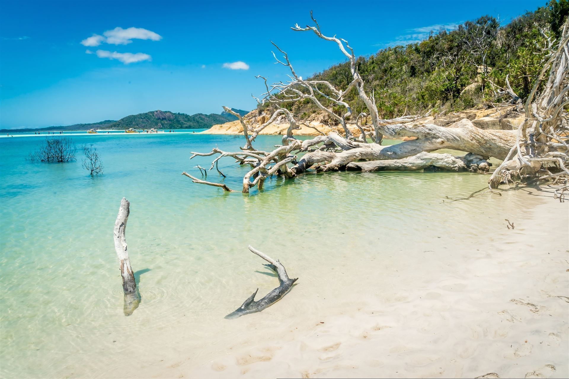 Whitehaven Beach