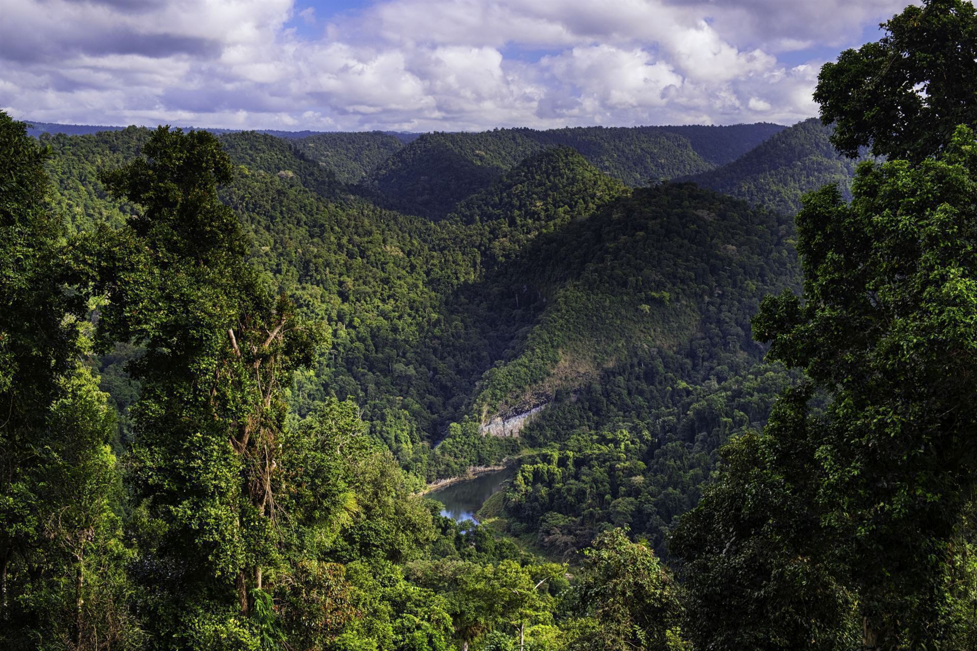 Atherton Tablelands