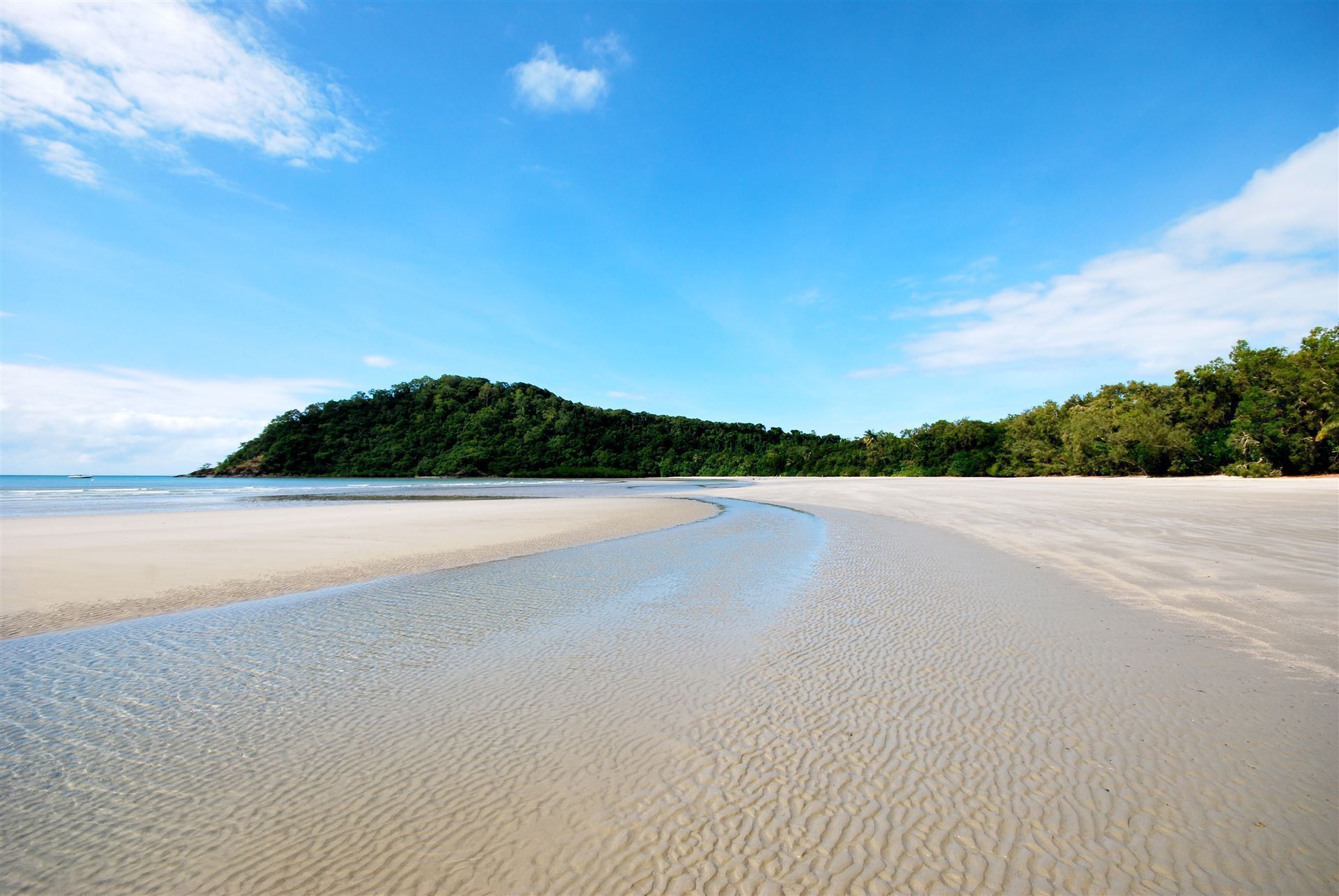 Cape Tribulation