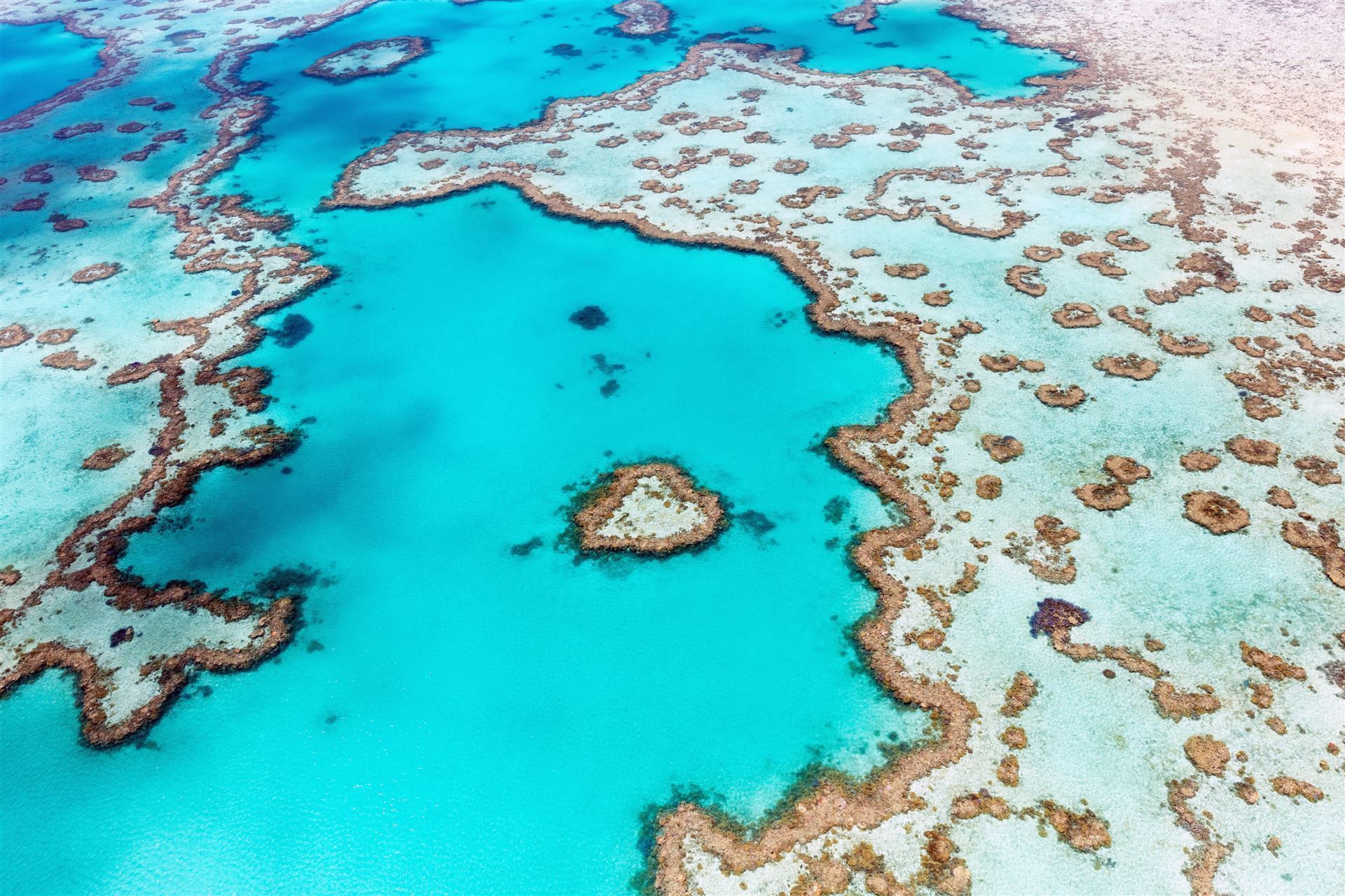 Heart Reef im Great Barrier Reef