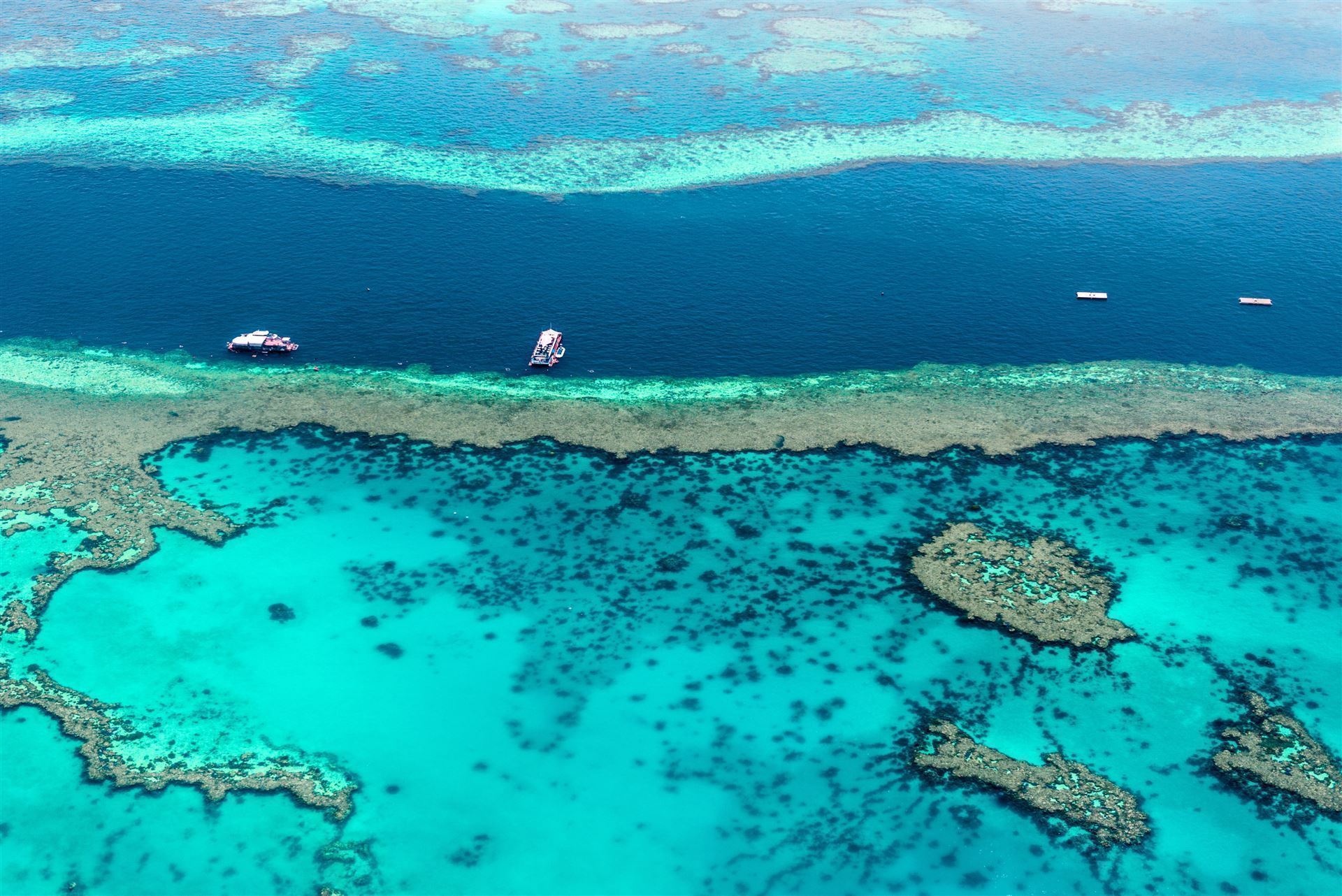 Ausflugsboote im Great Barrier Reef