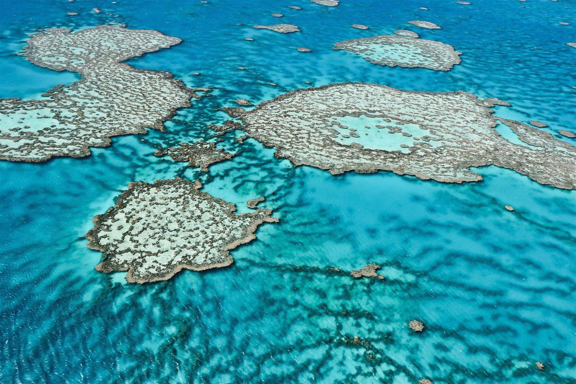 Great Barrier Reef