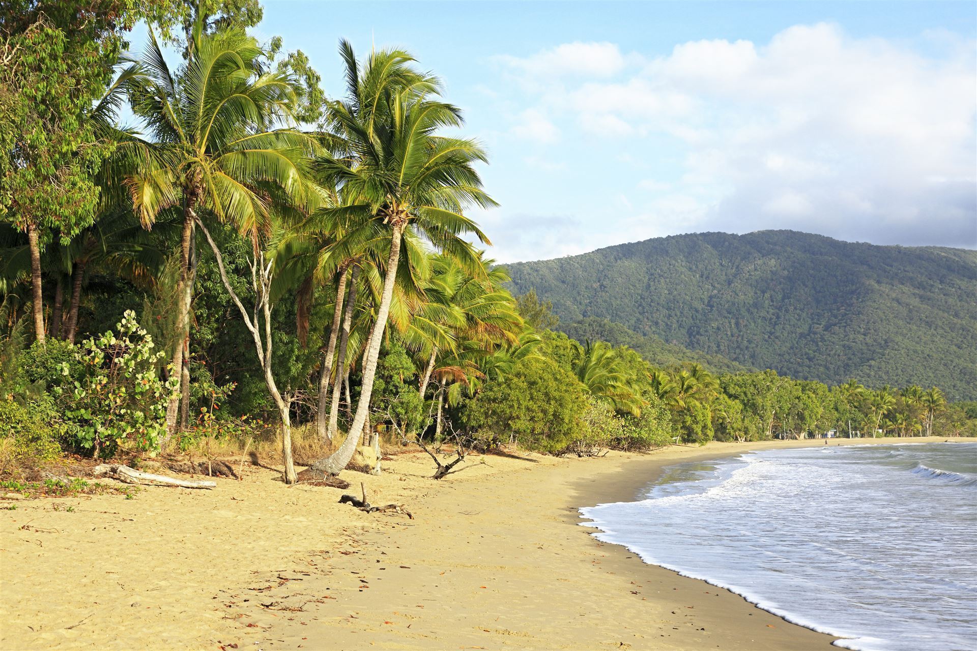 Tropischer Strand in Cairns