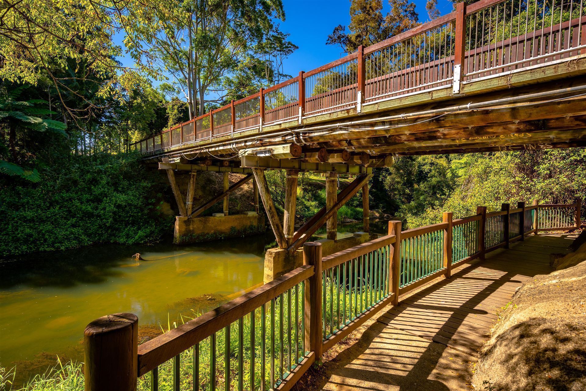 Eungella Nationalpark
