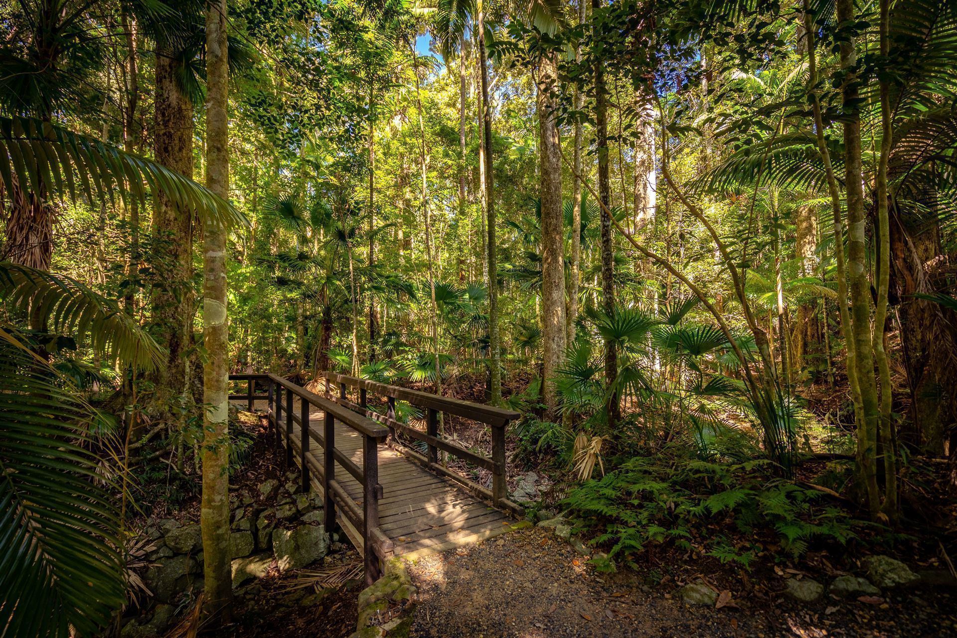 Eungella Nationalpark