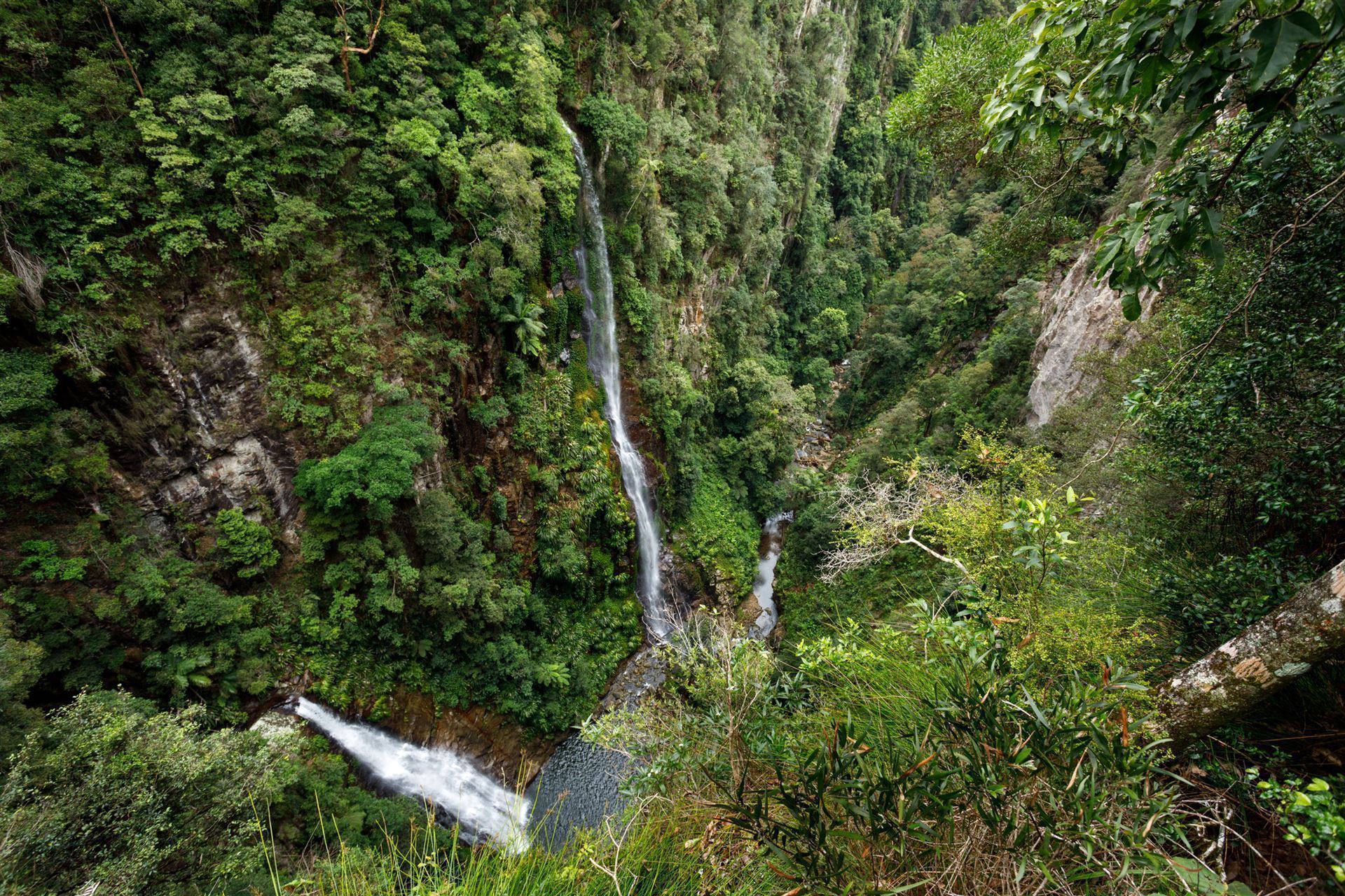 Coomera Gorge