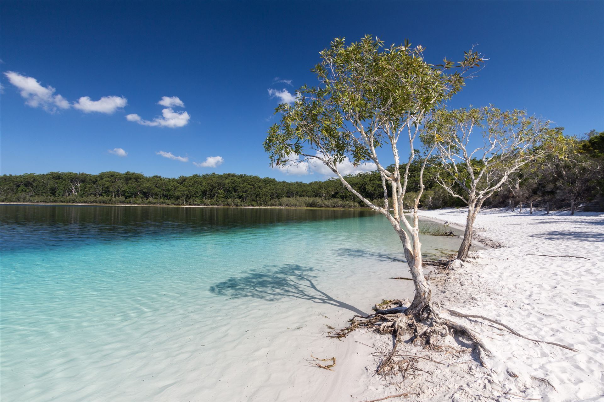 Lake McKenzie