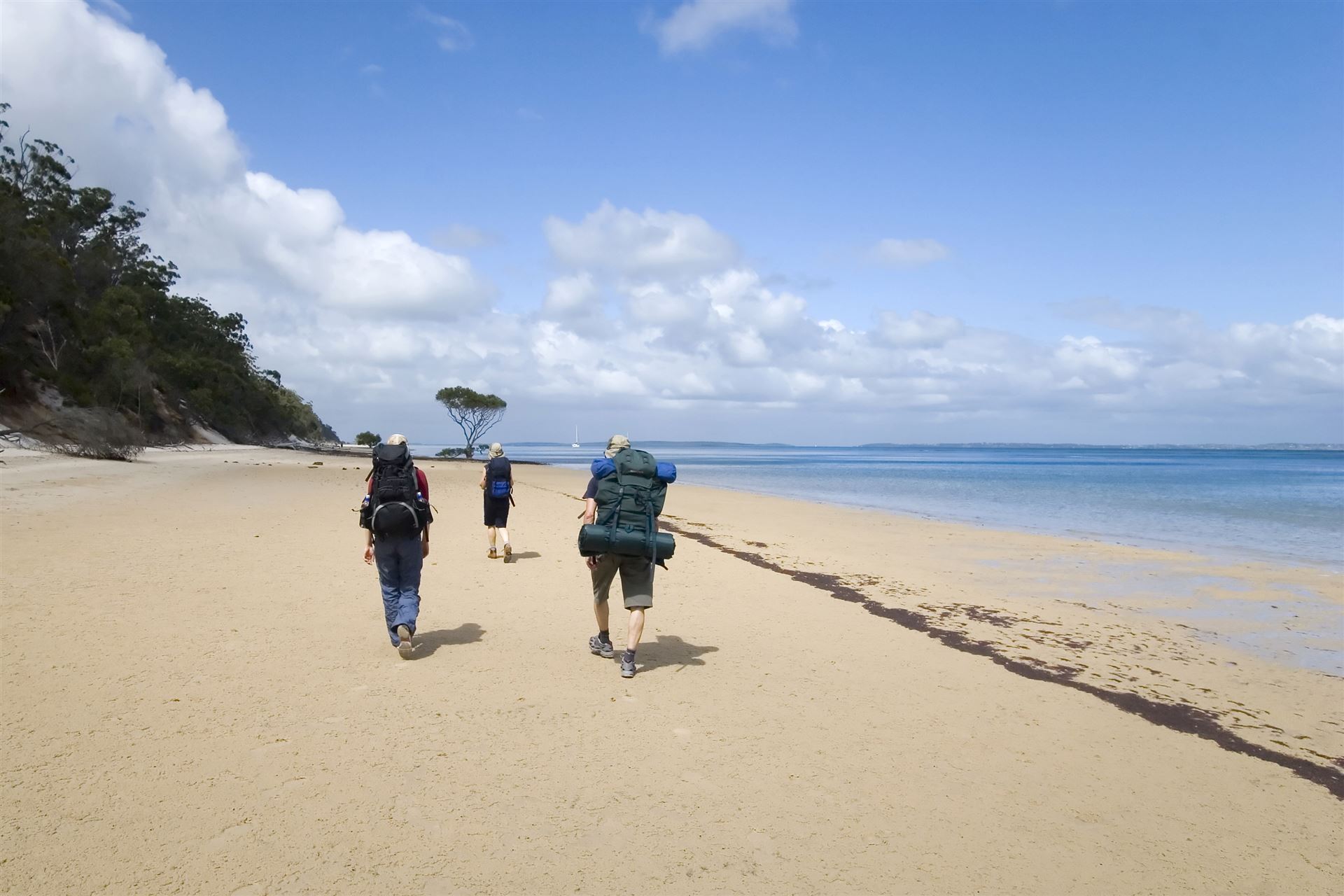 Fraser Island