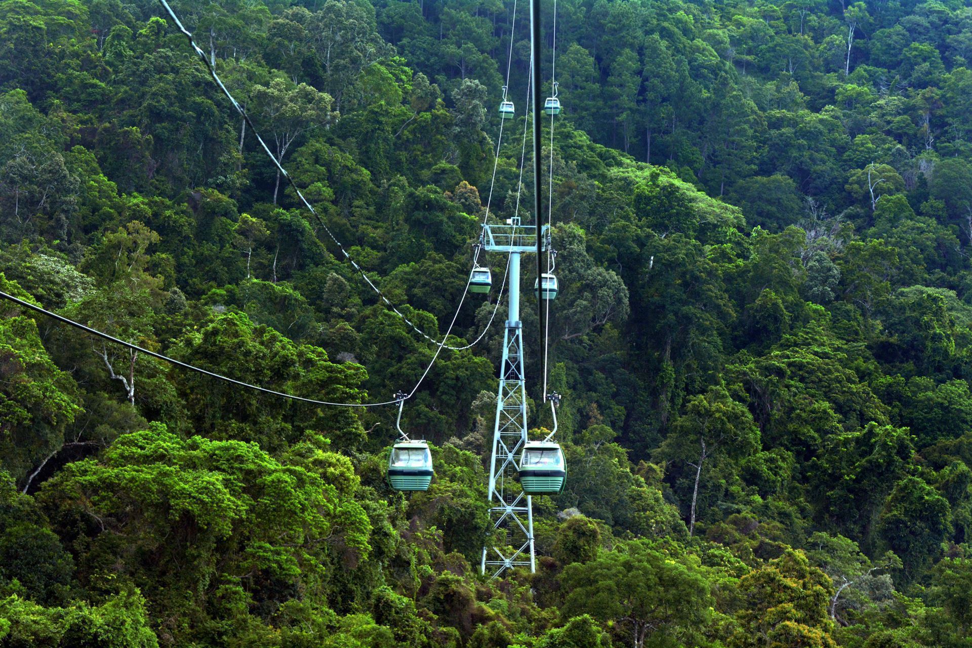 Skyrail Cableway über der Barron Schlucht