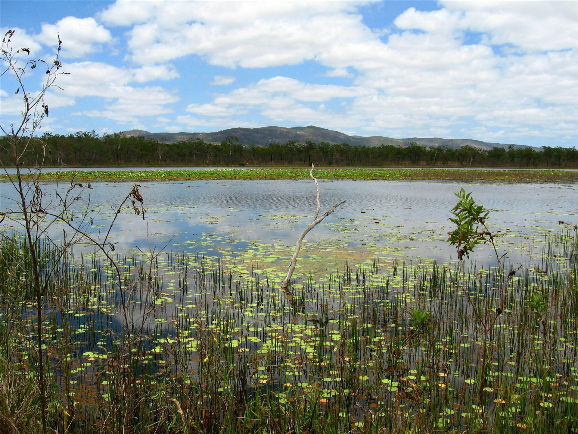 Mareeba Wetlands