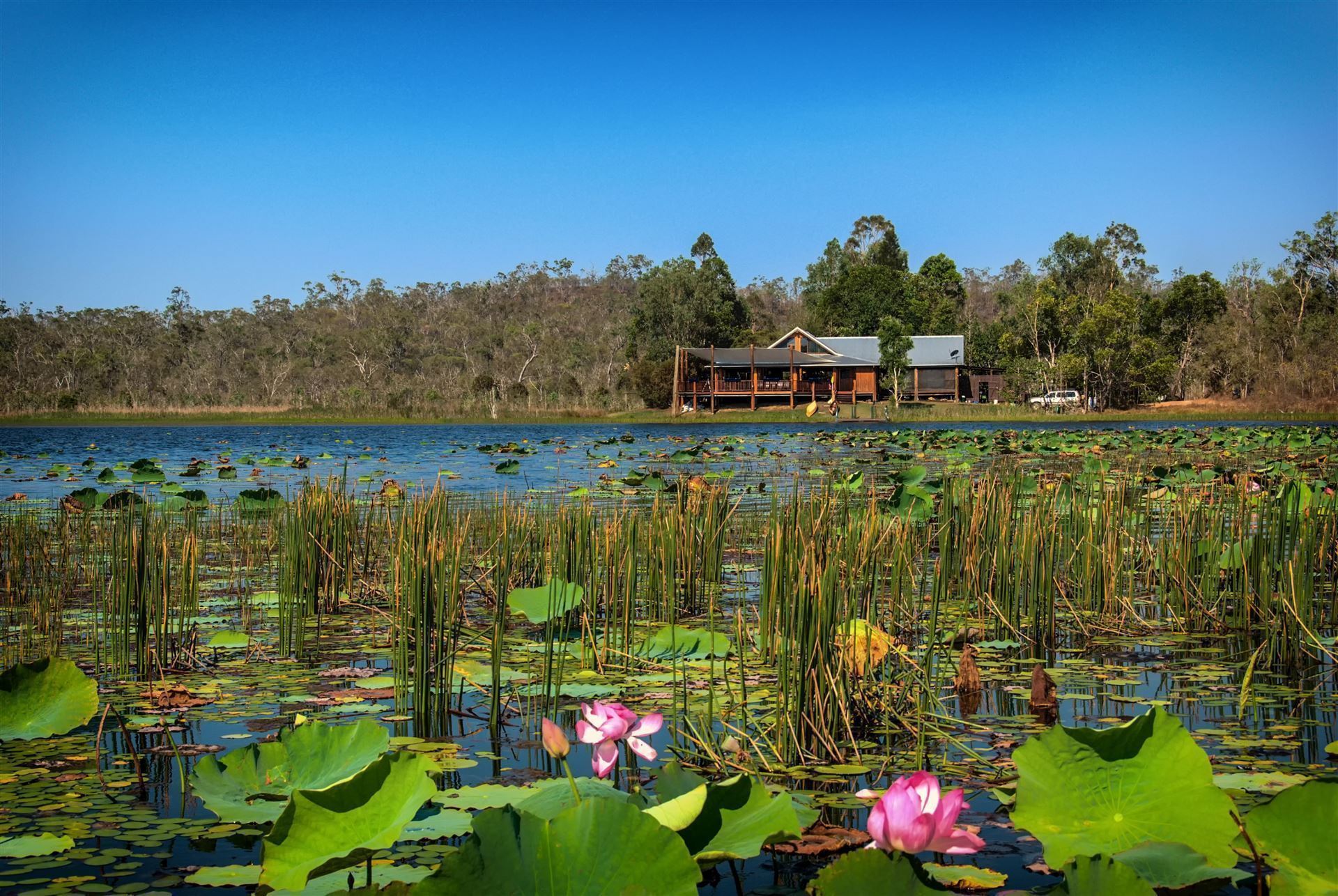 Mareeba Wetlands
