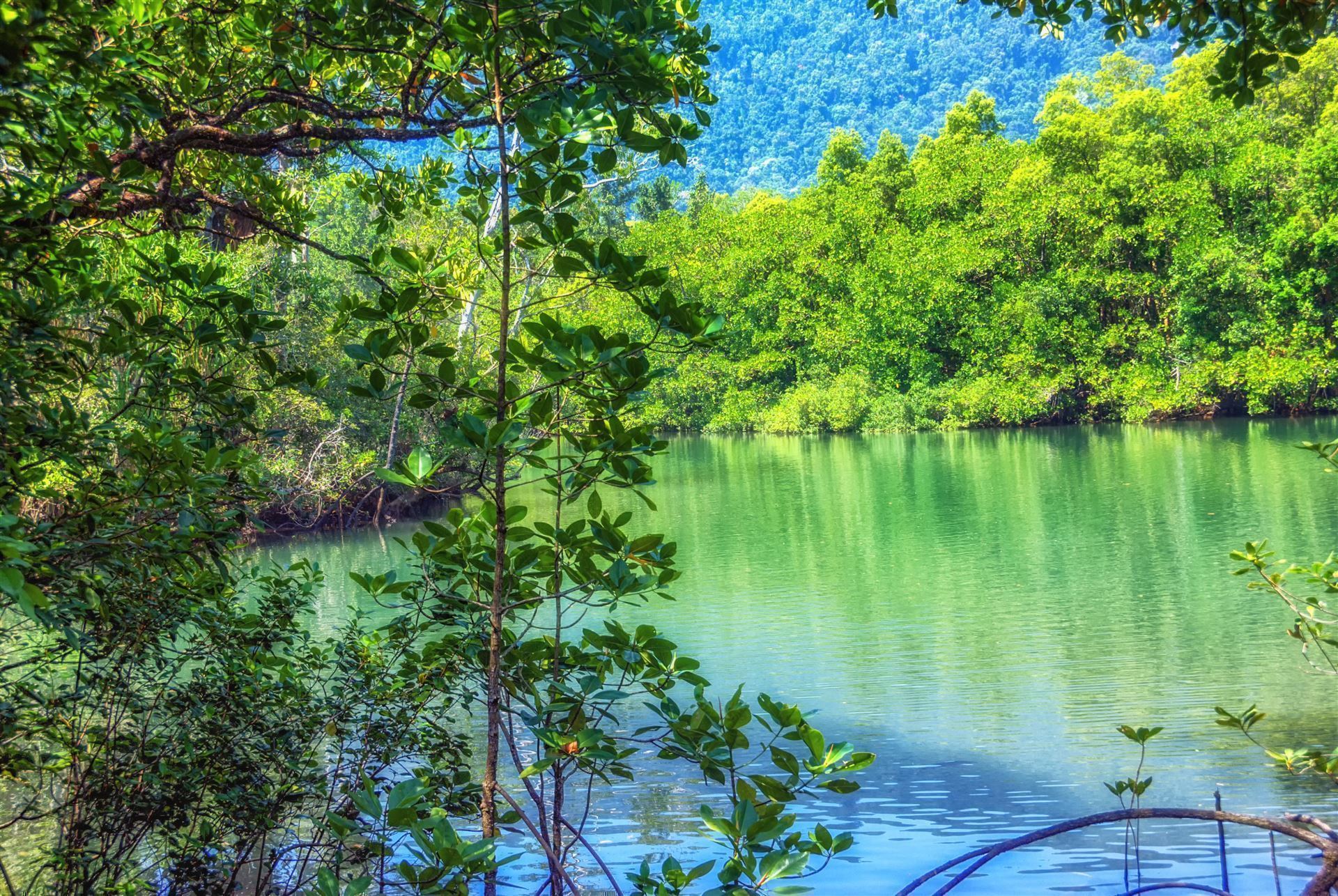 Mossman Gorge im Daintree Nationalpark