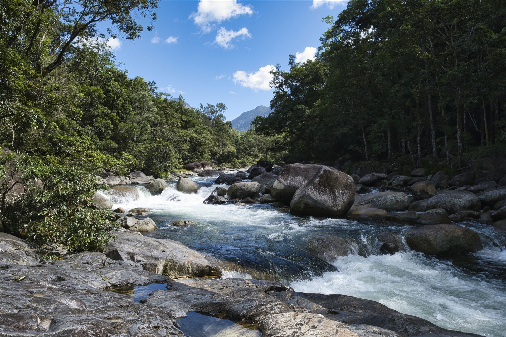 Mossman Gorge im Daintree Nationalpark